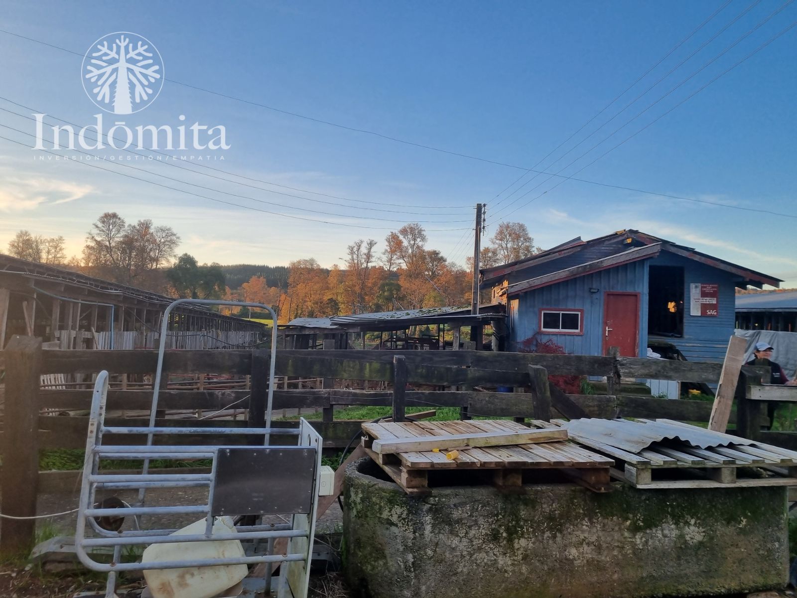 Campo en venta en Purranque — foto 6