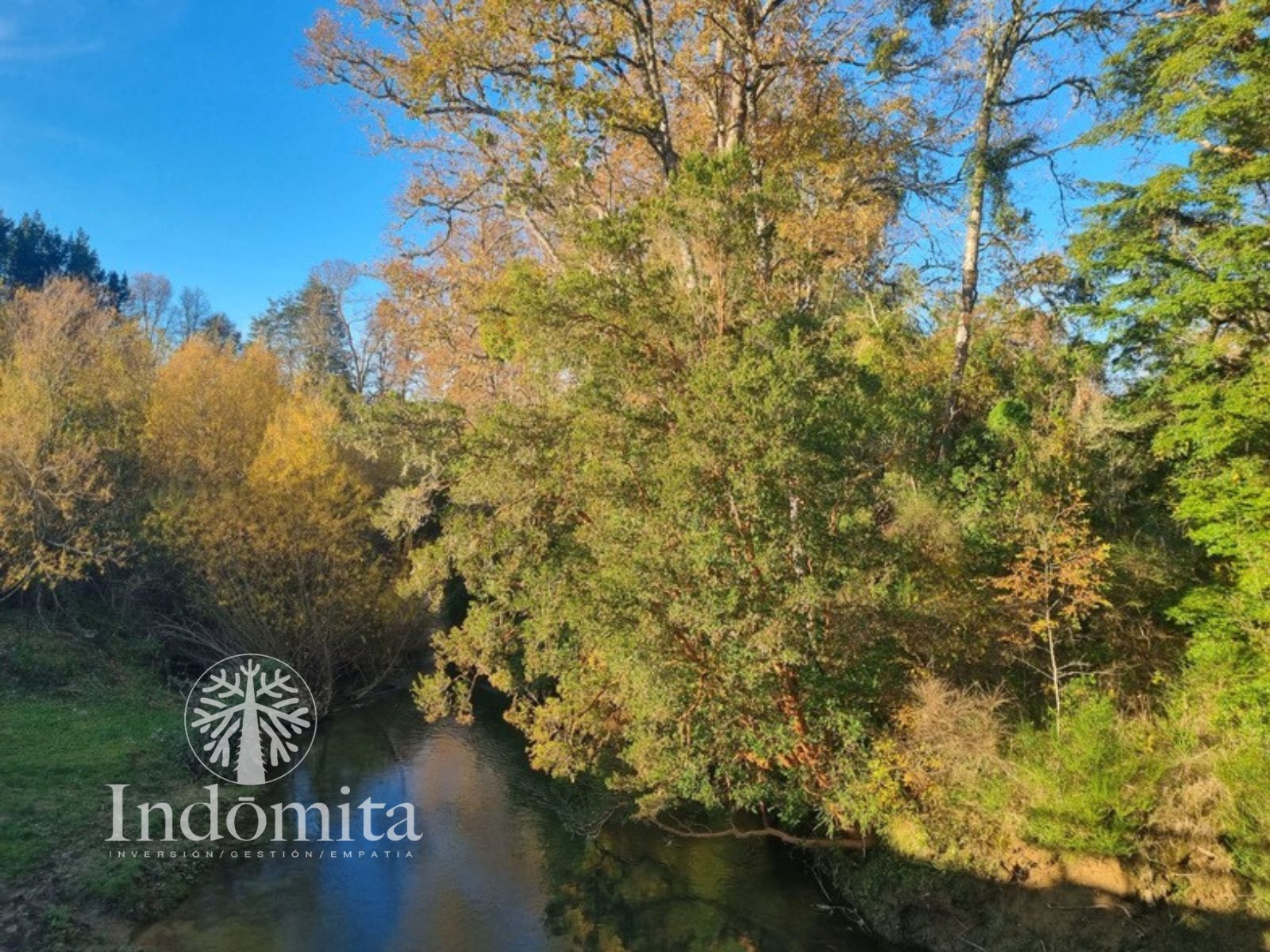 Campo en venta en Purranque — foto 7