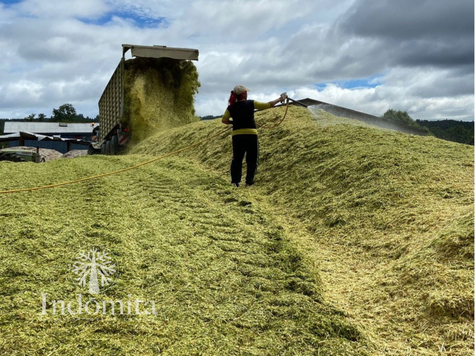 Campo en venta en Purranque — foto 8