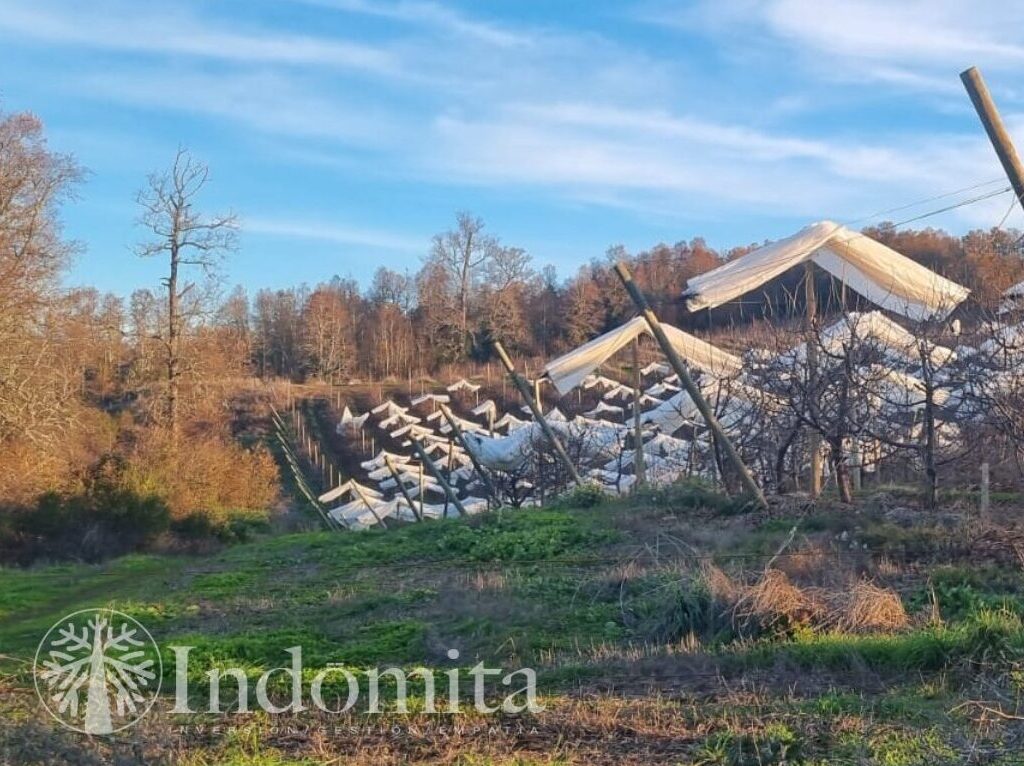Campo en venta en Purranque — foto 9