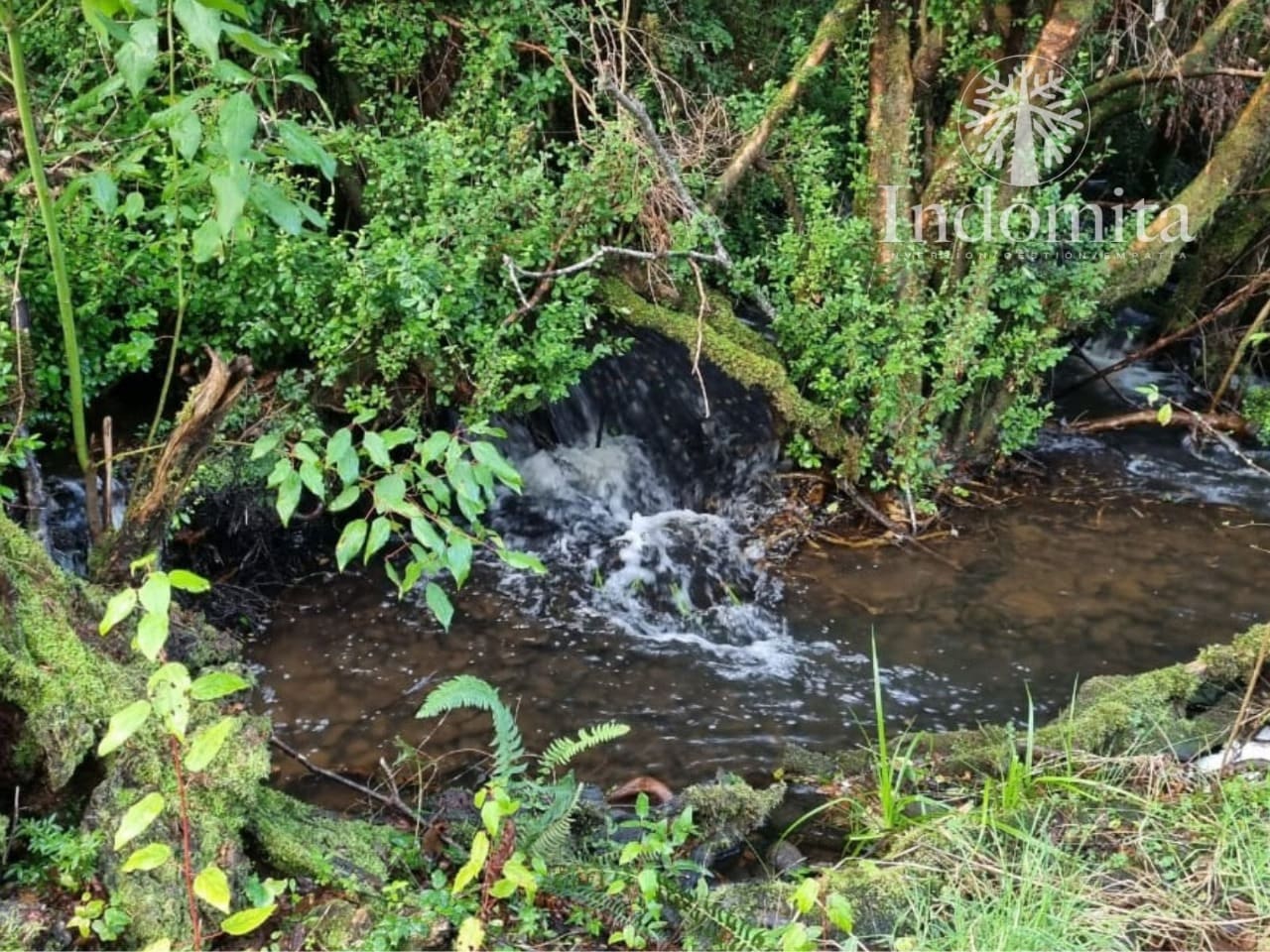 Parcela en venta en Río Negro — foto 2