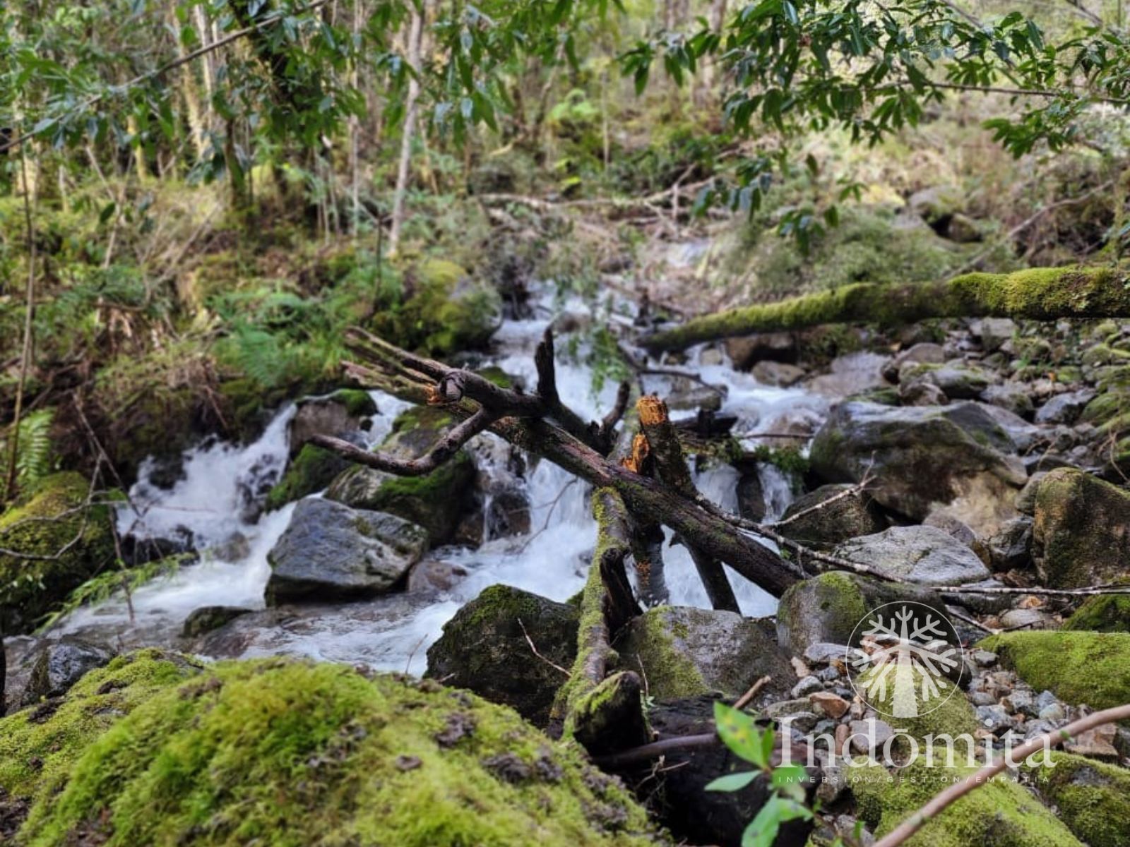 Parcela en venta en Cochamó — foto 9
