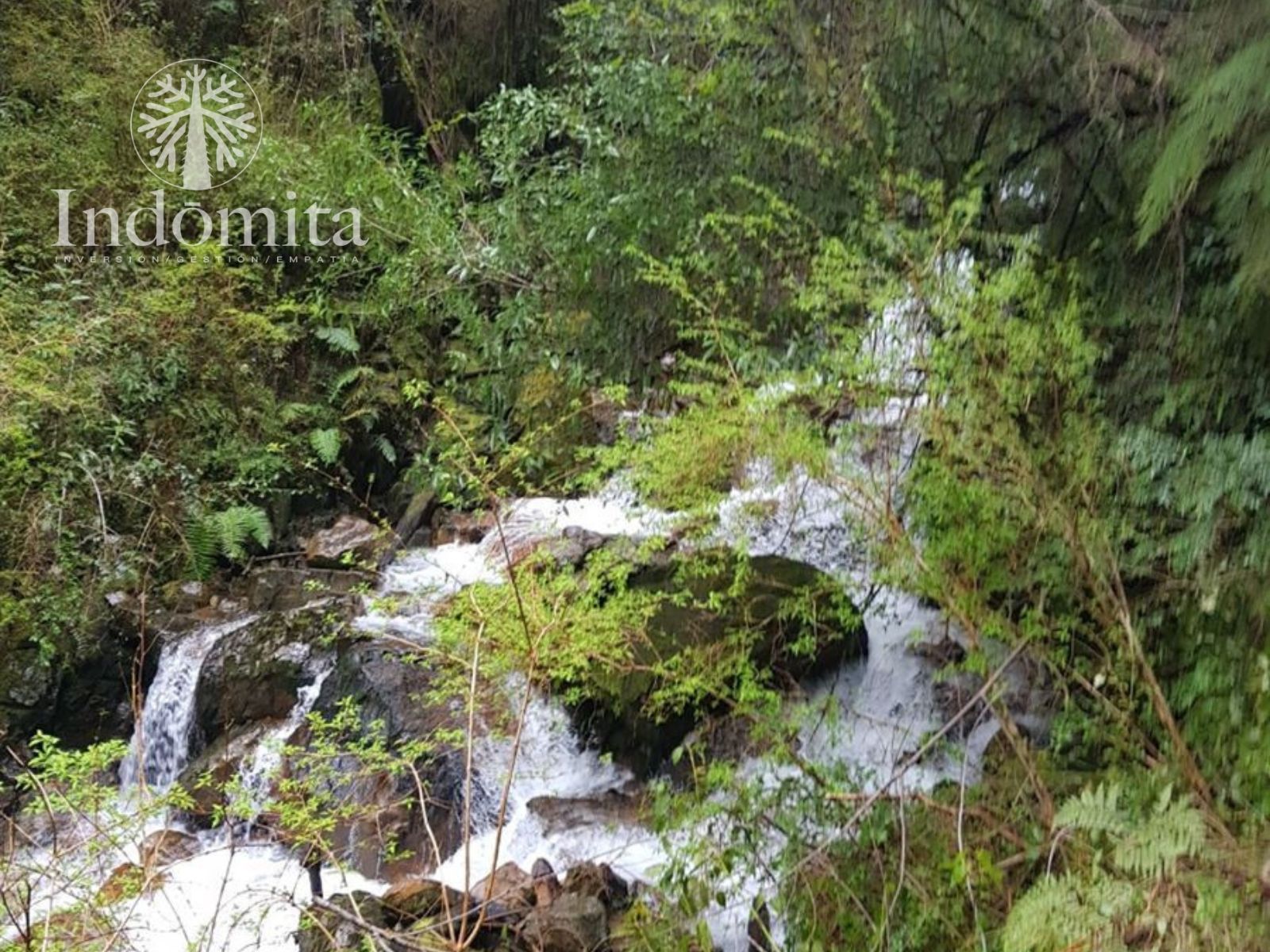 Parcela en venta en Cochamó — foto 5