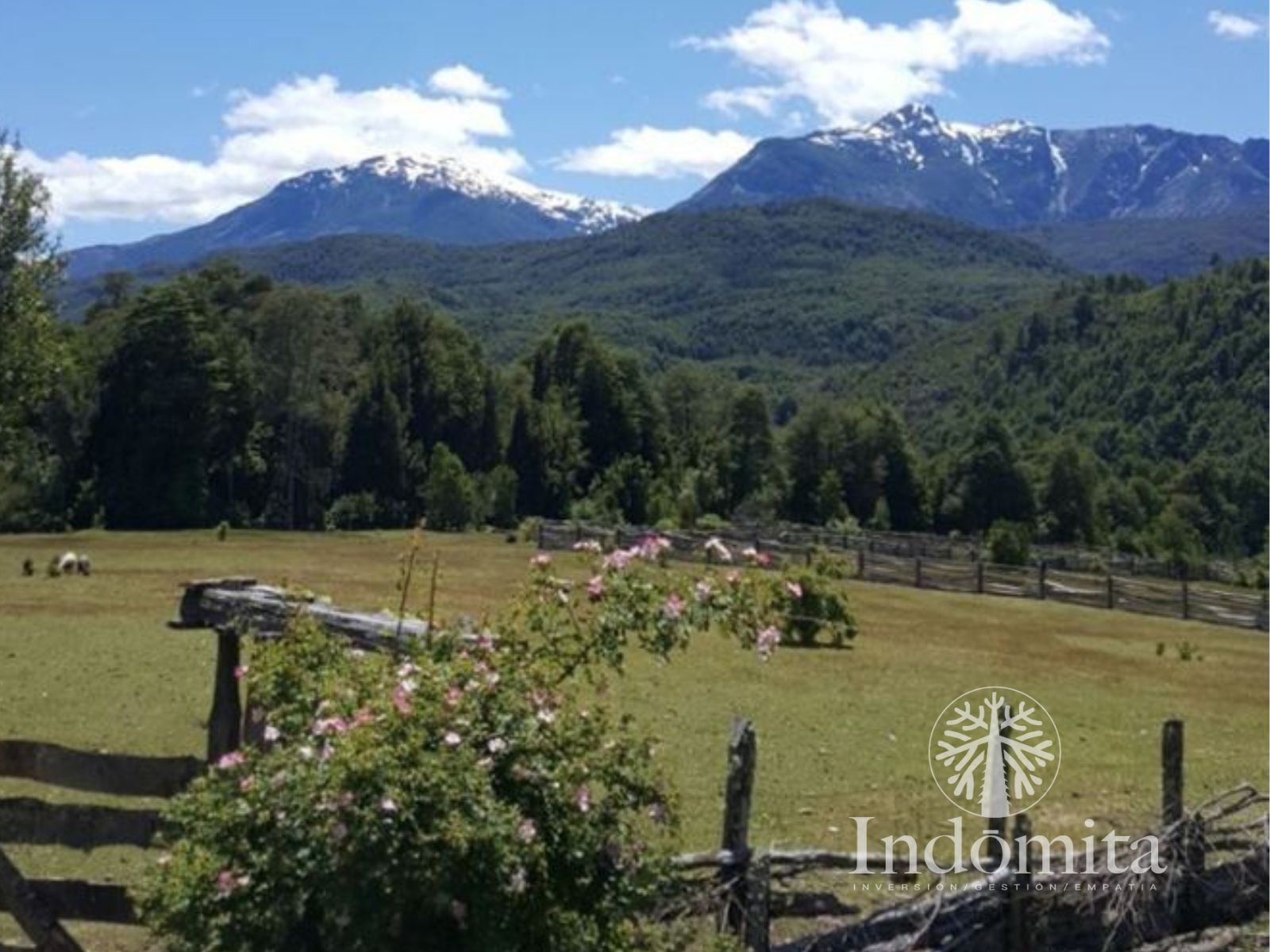 Parcela en venta en Cochamó — foto 9