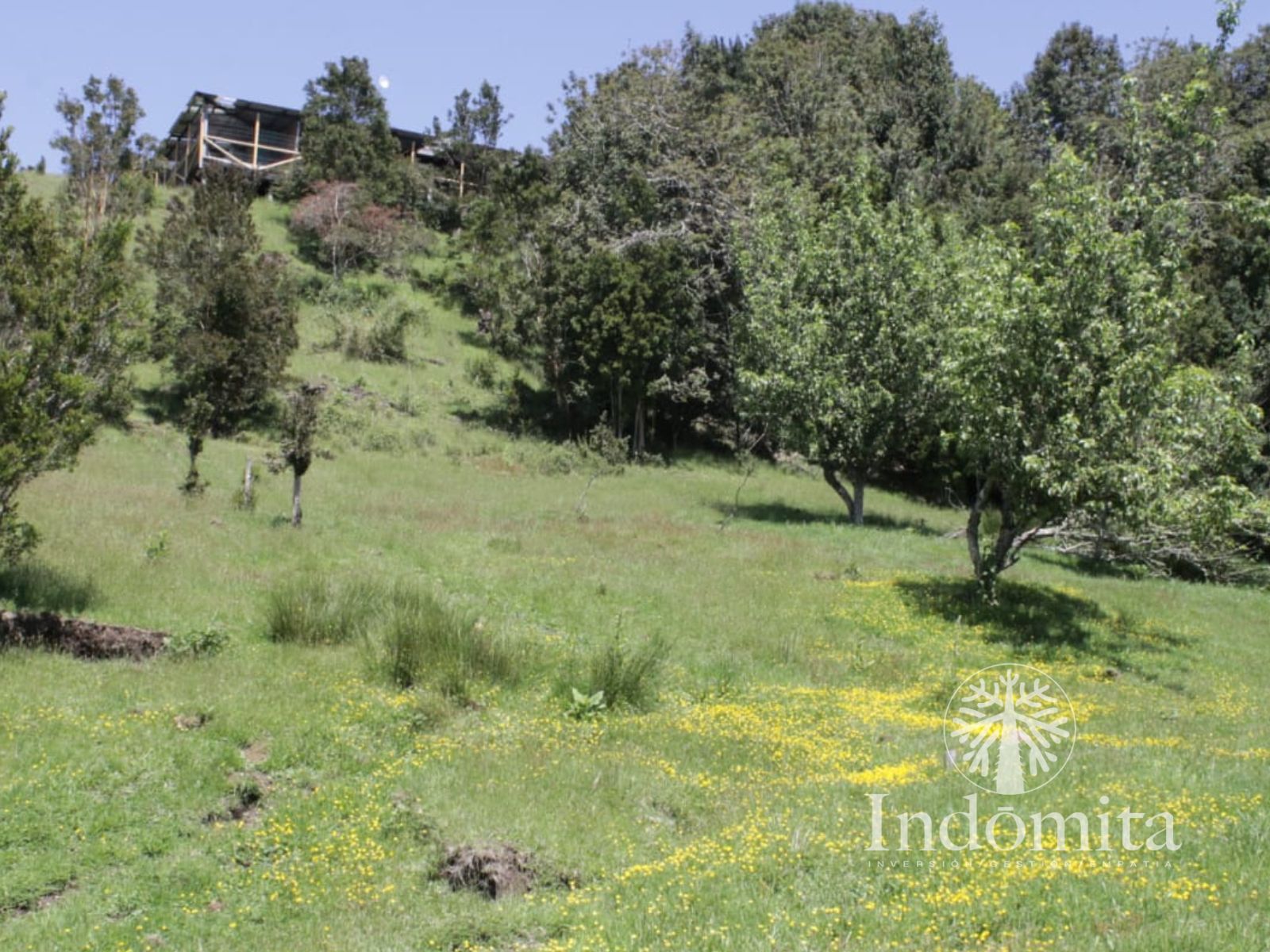 Terreno en venta en Quemchi — foto 5