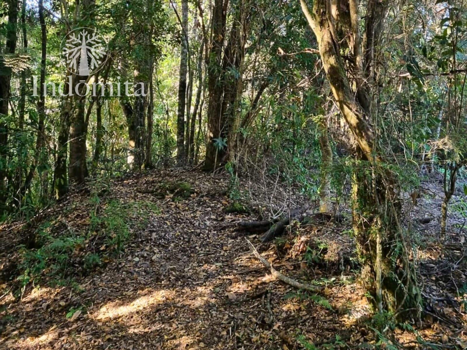 Parcela en venta en Puerto Varas — foto 1
