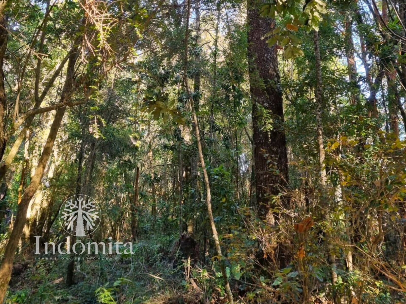 Parcela en venta en Puerto Varas — foto 3