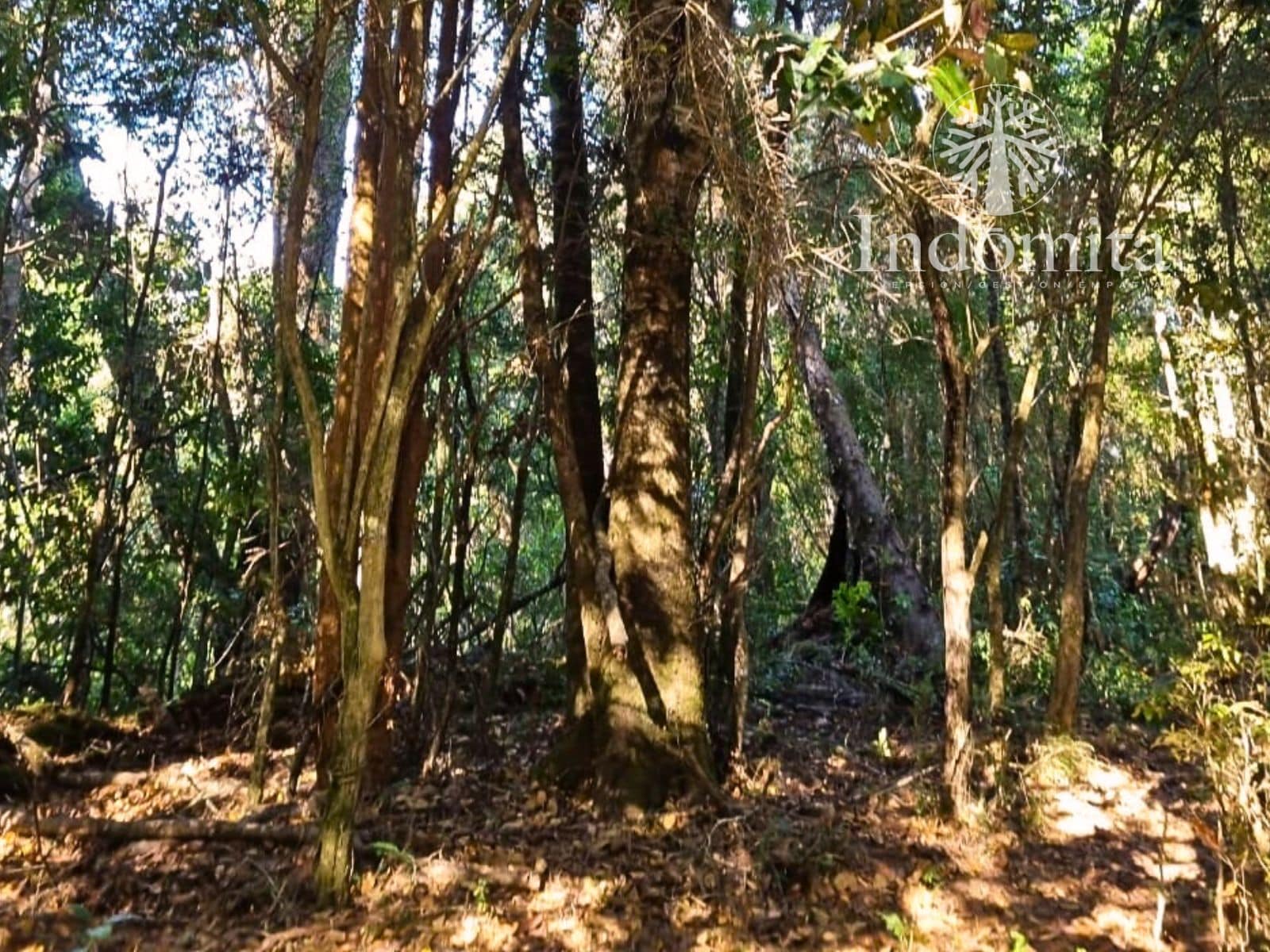 Parcela en venta en Puerto Varas — foto 9