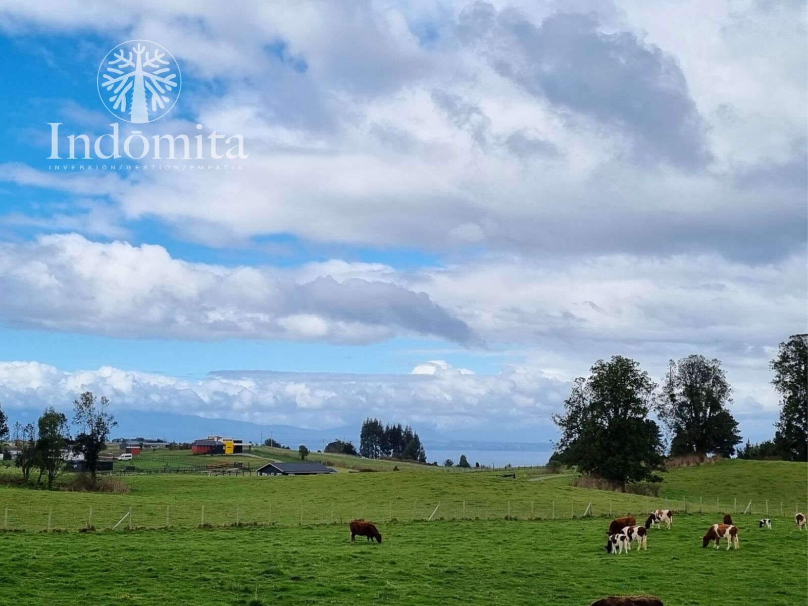 Parcela en venta en Llanquihue — foto 1