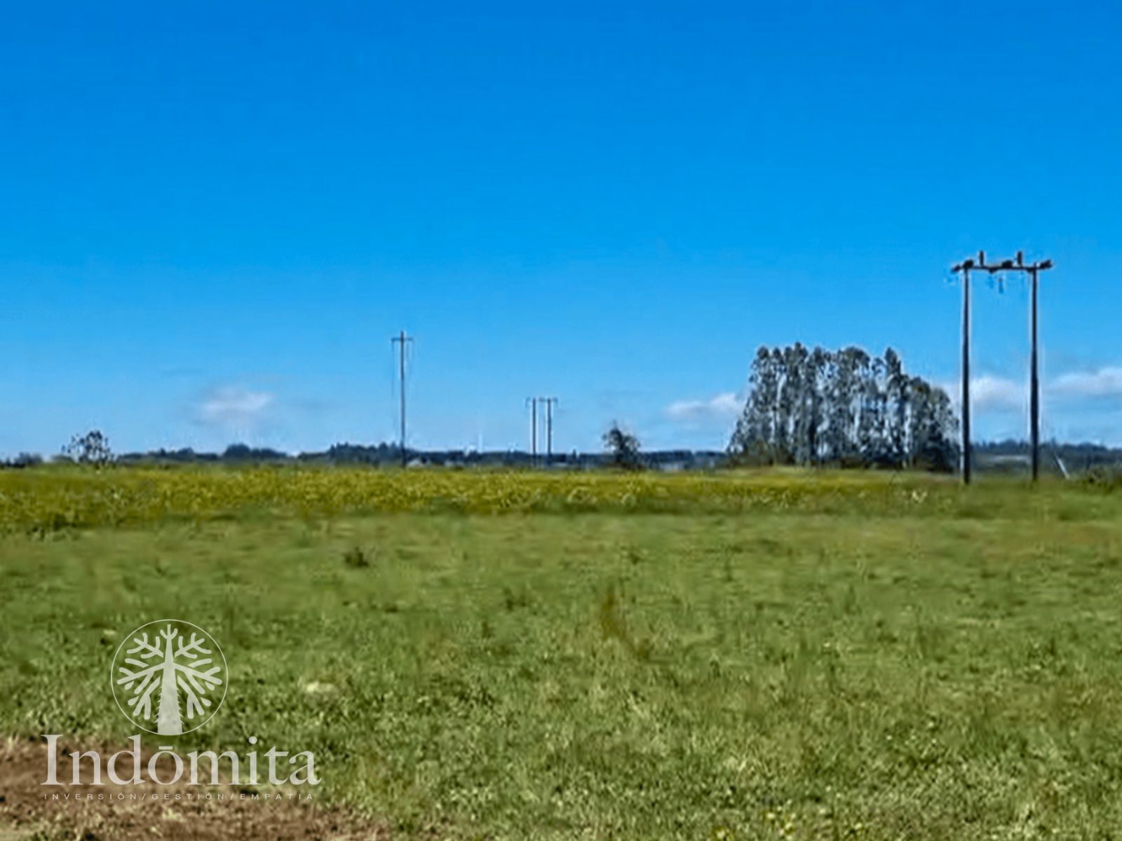 Parcela en venta en Llanquihue — foto 2