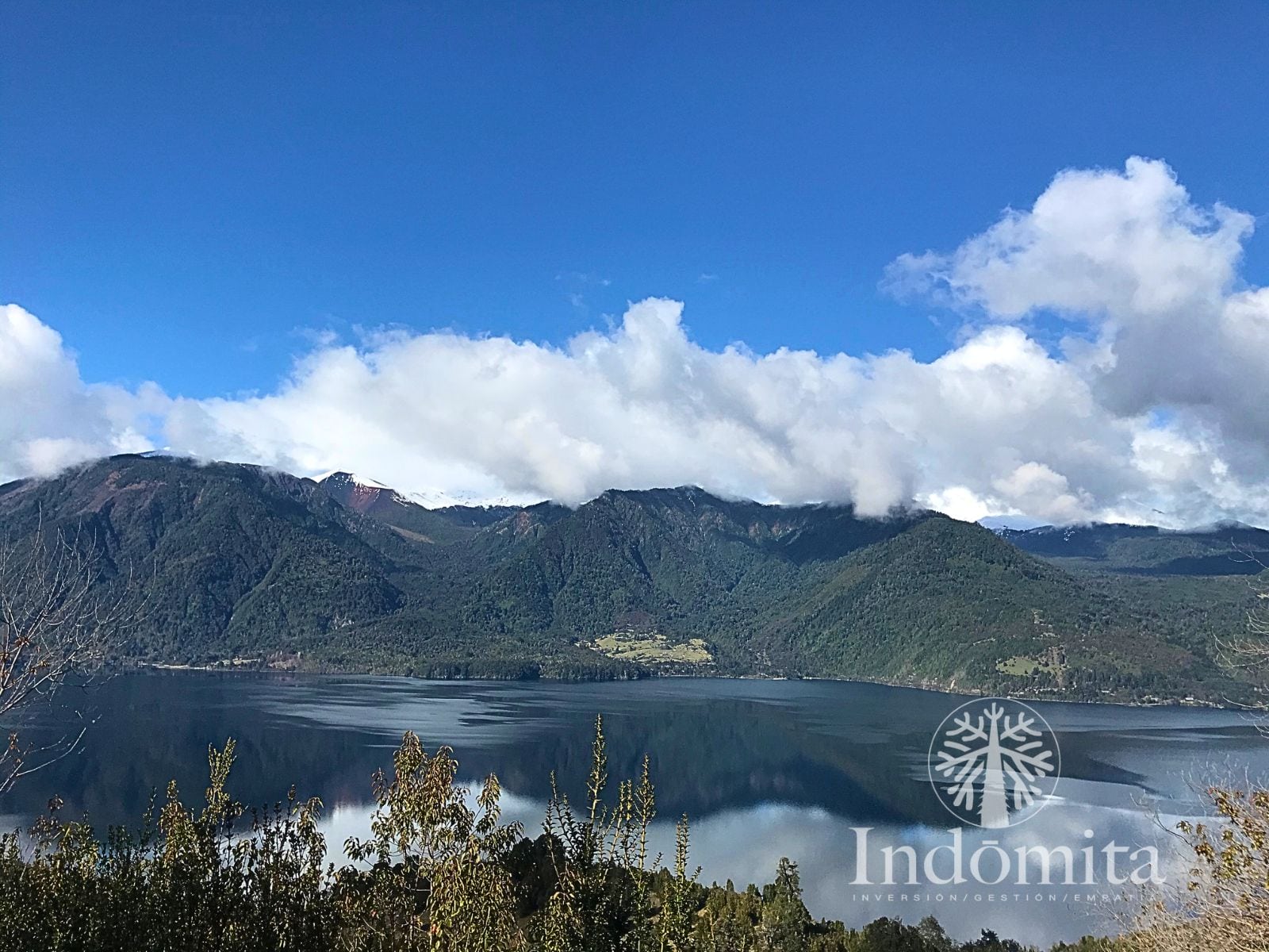 Campo en venta en Puerto Octay — foto 4