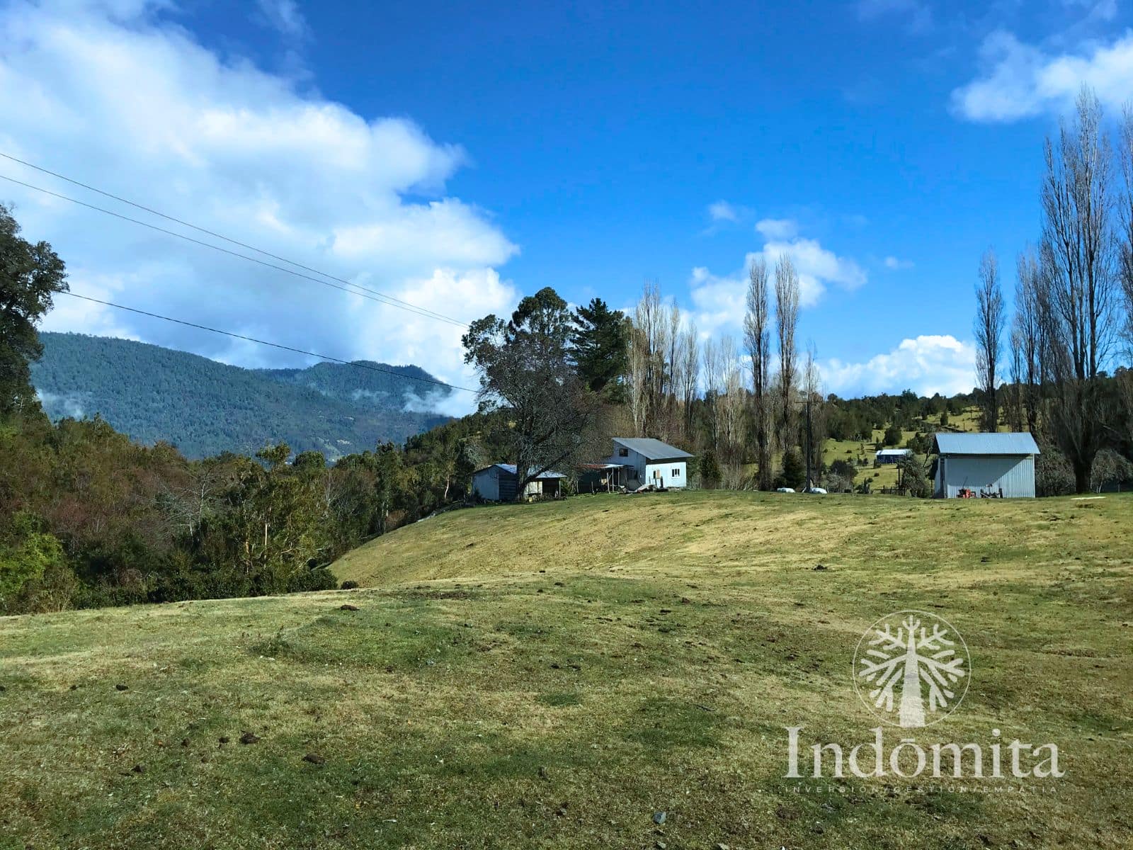 Campo en venta en Puerto Octay — foto 5