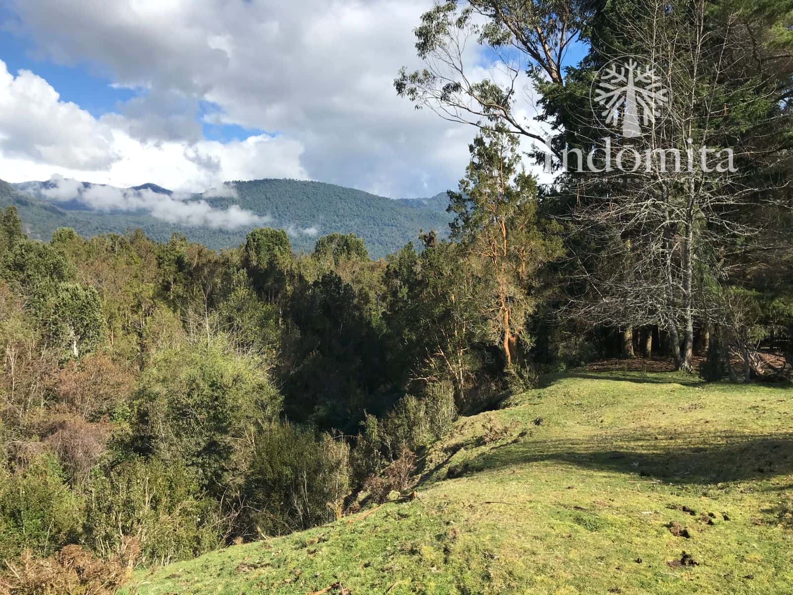 Campo en venta en Puerto Octay — foto 6