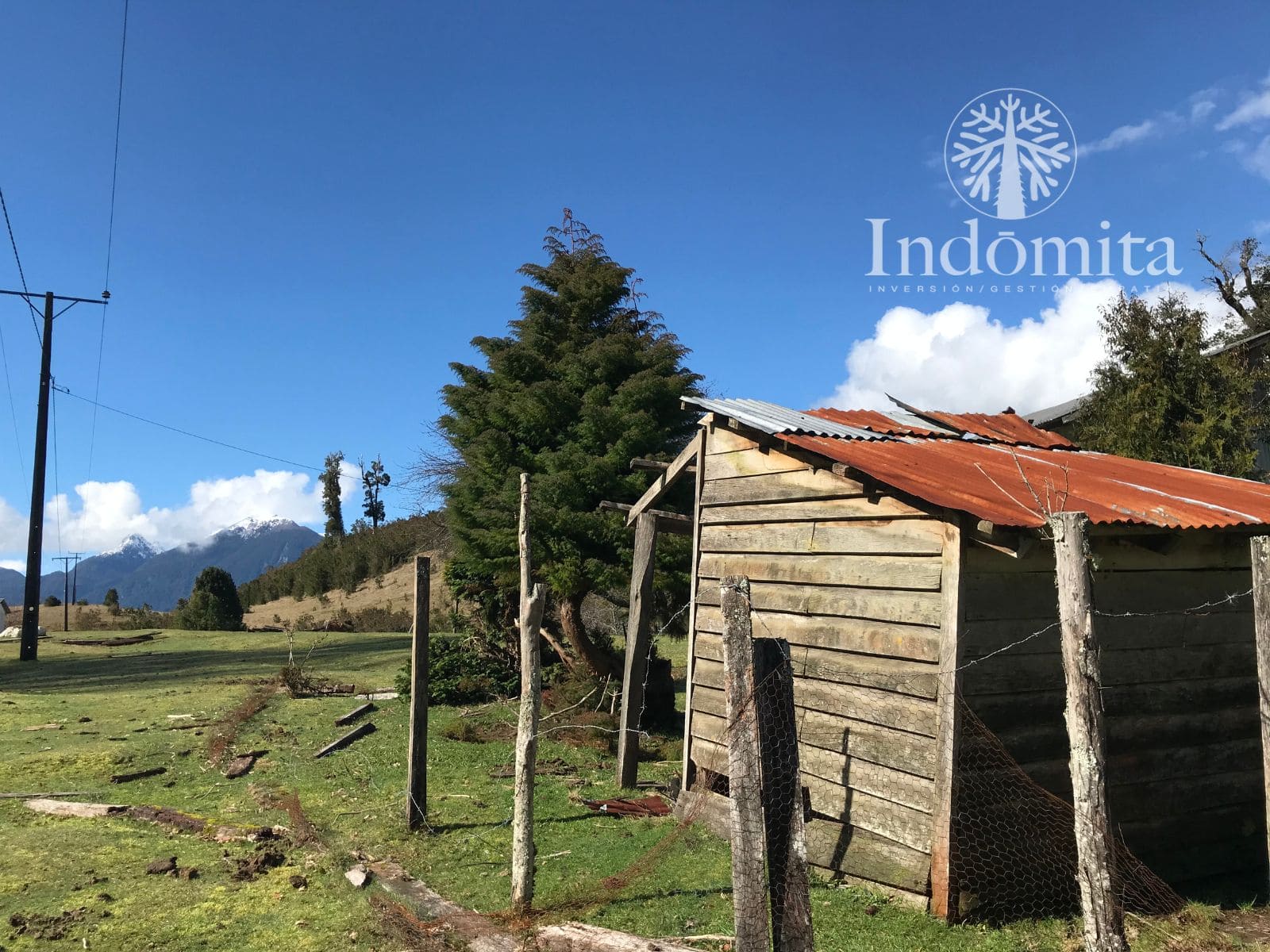 Campo en venta en Puerto Octay — foto 7