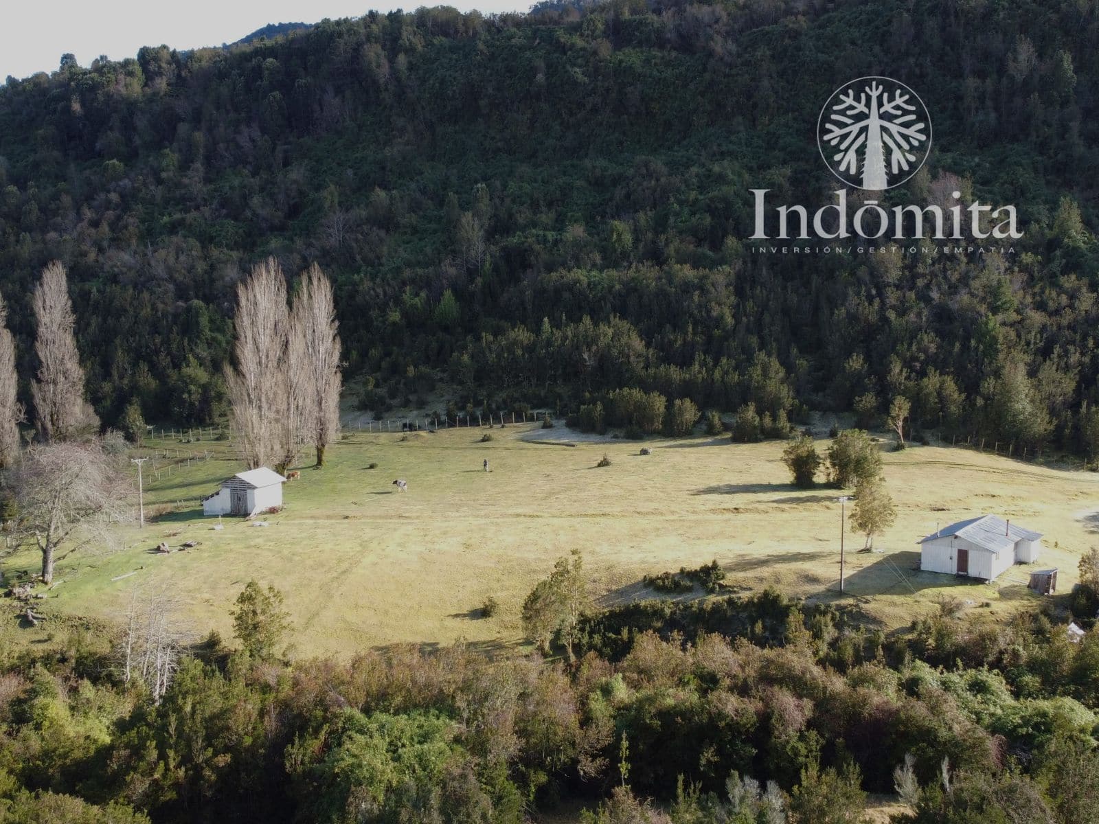 Campo en venta en Puerto Octay — foto 8