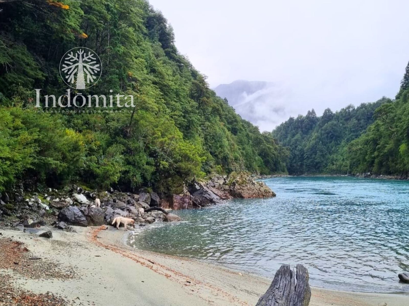 Campo en venta en Cochamó — foto 1