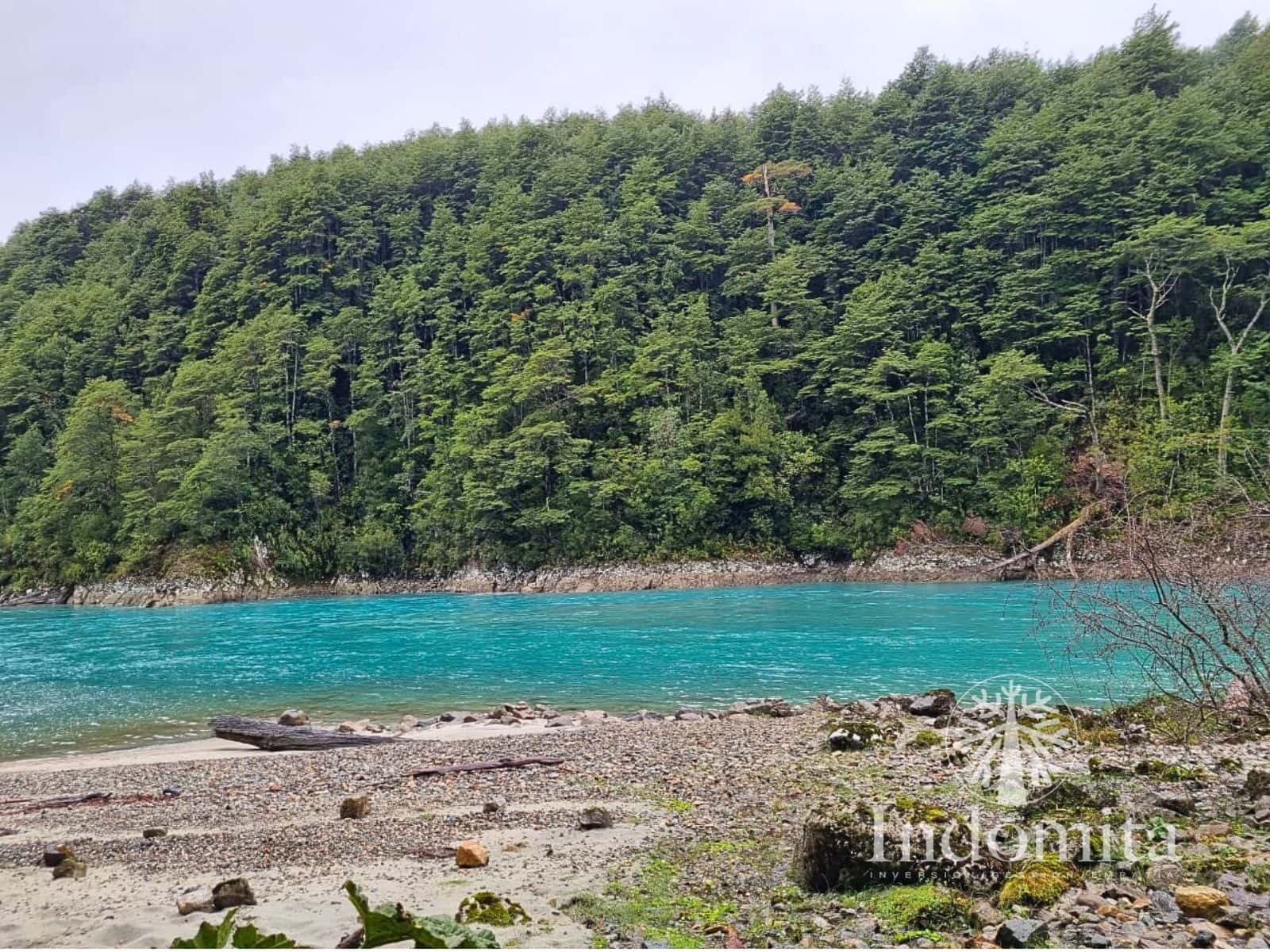 Campo en venta en Cochamó — foto 5