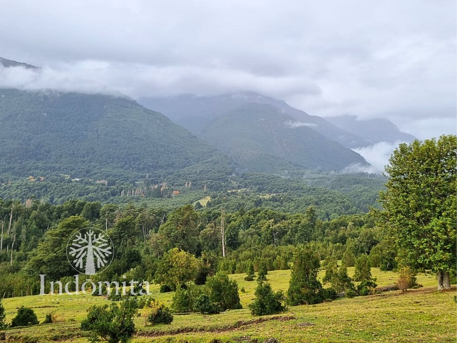 Campo en venta en Cochamó — foto 7