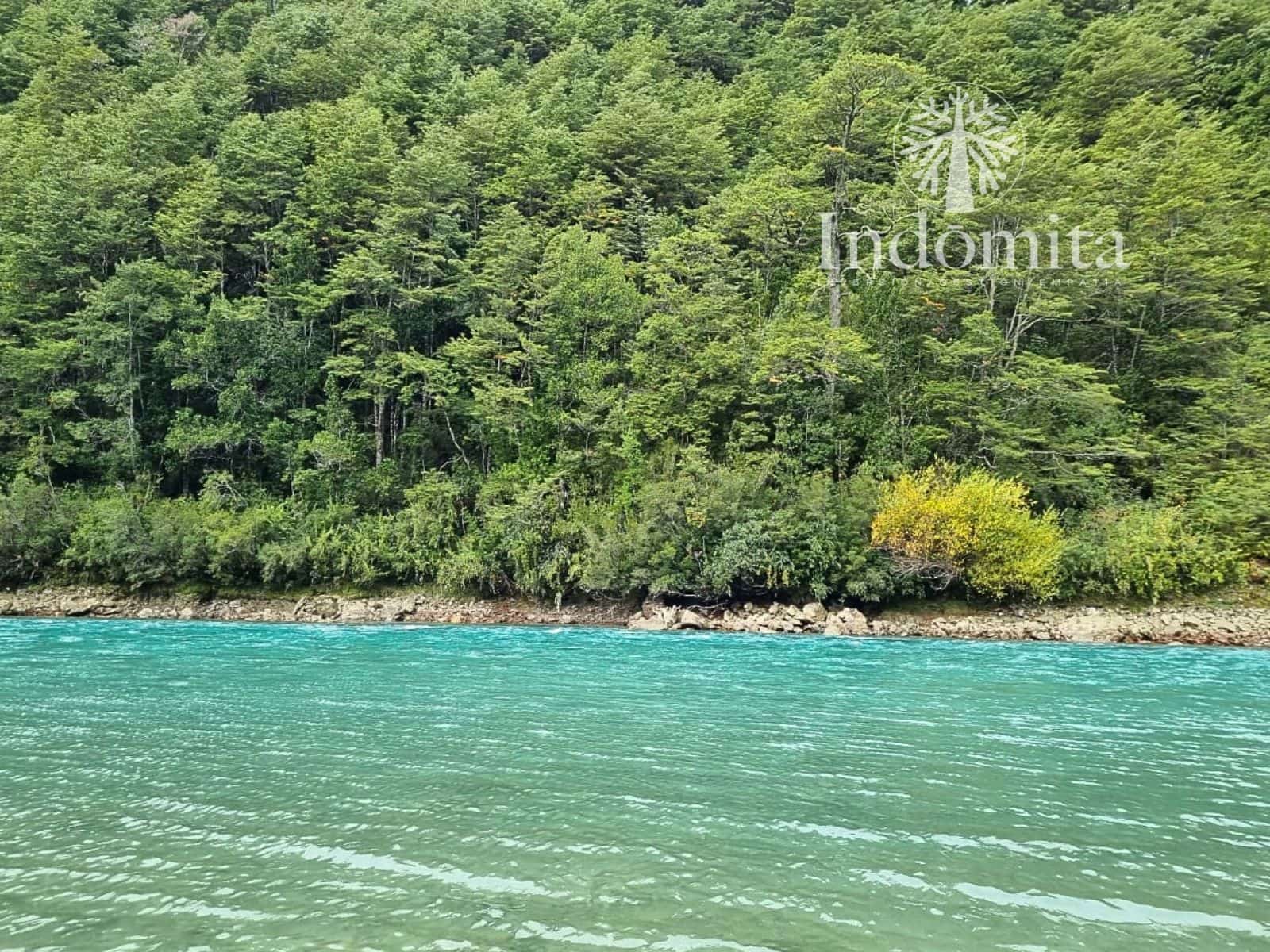 Campo en venta en Cochamó — foto 8