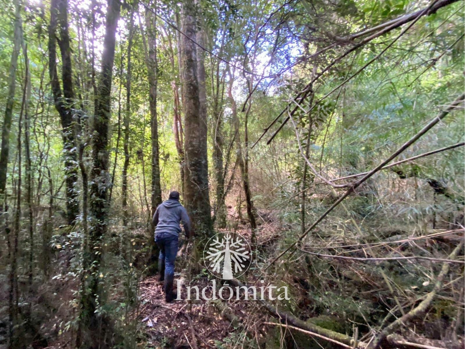 Campo en venta en Chaitén — foto 6