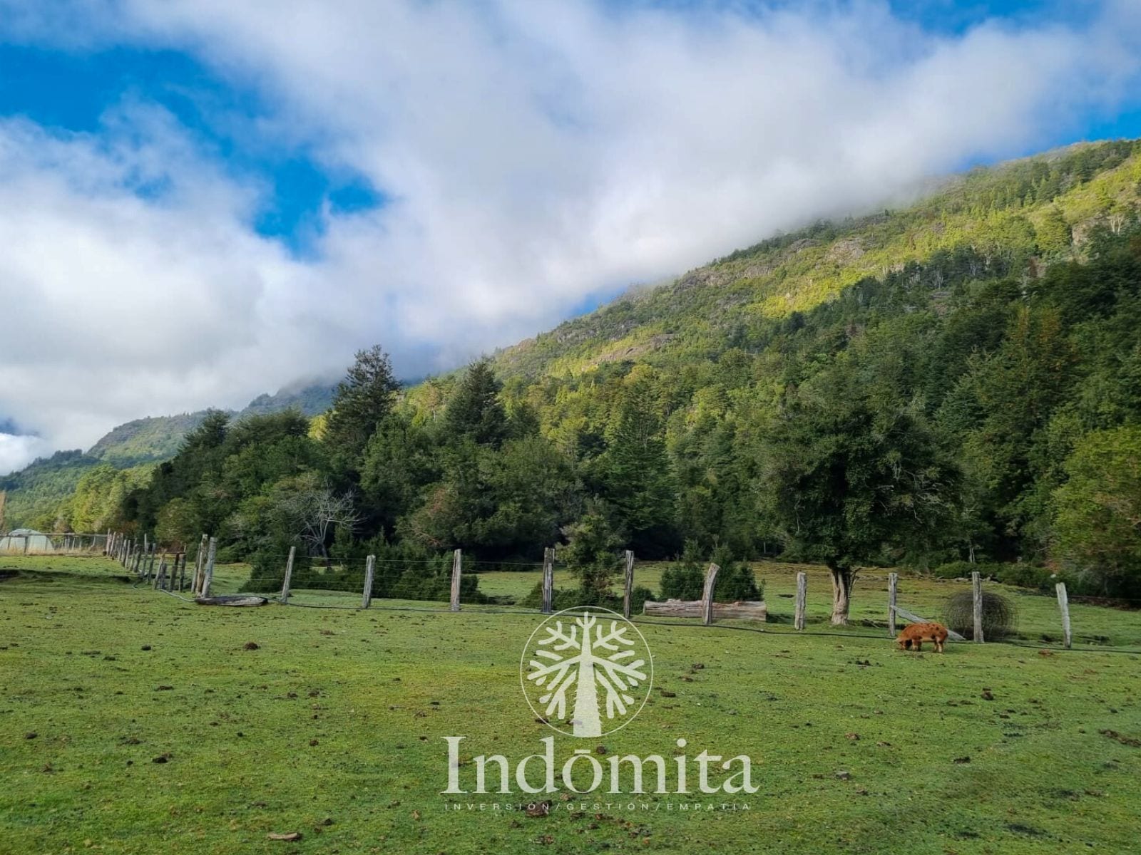 Parcela en venta en Cochamó — foto 9