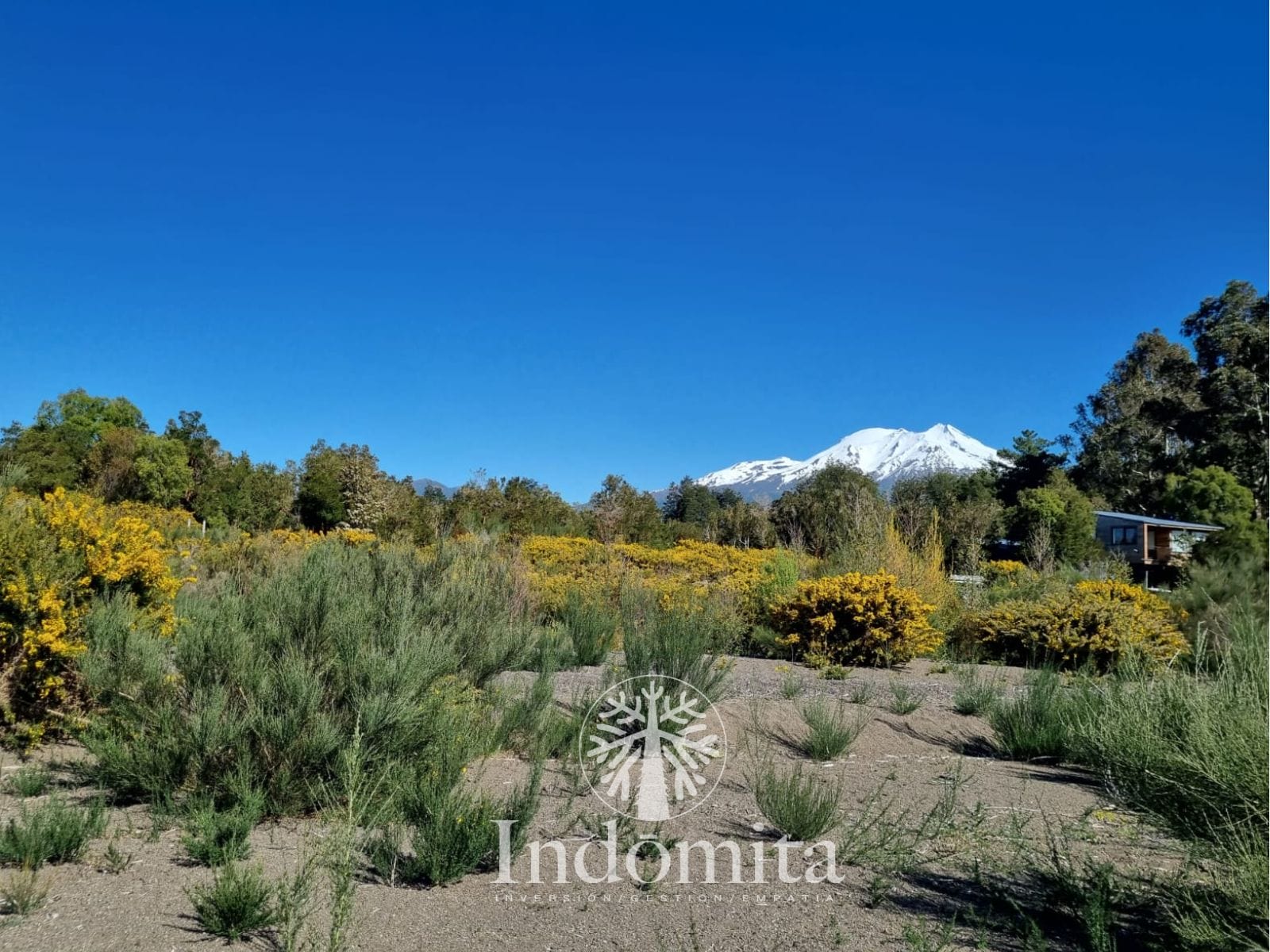Parcela en venta en Puerto Varas — foto 3