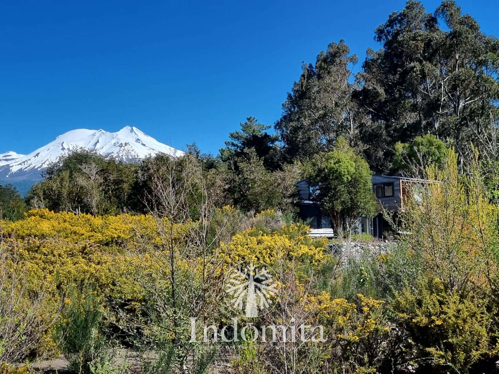 Parcela en venta en Puerto Varas — foto 6