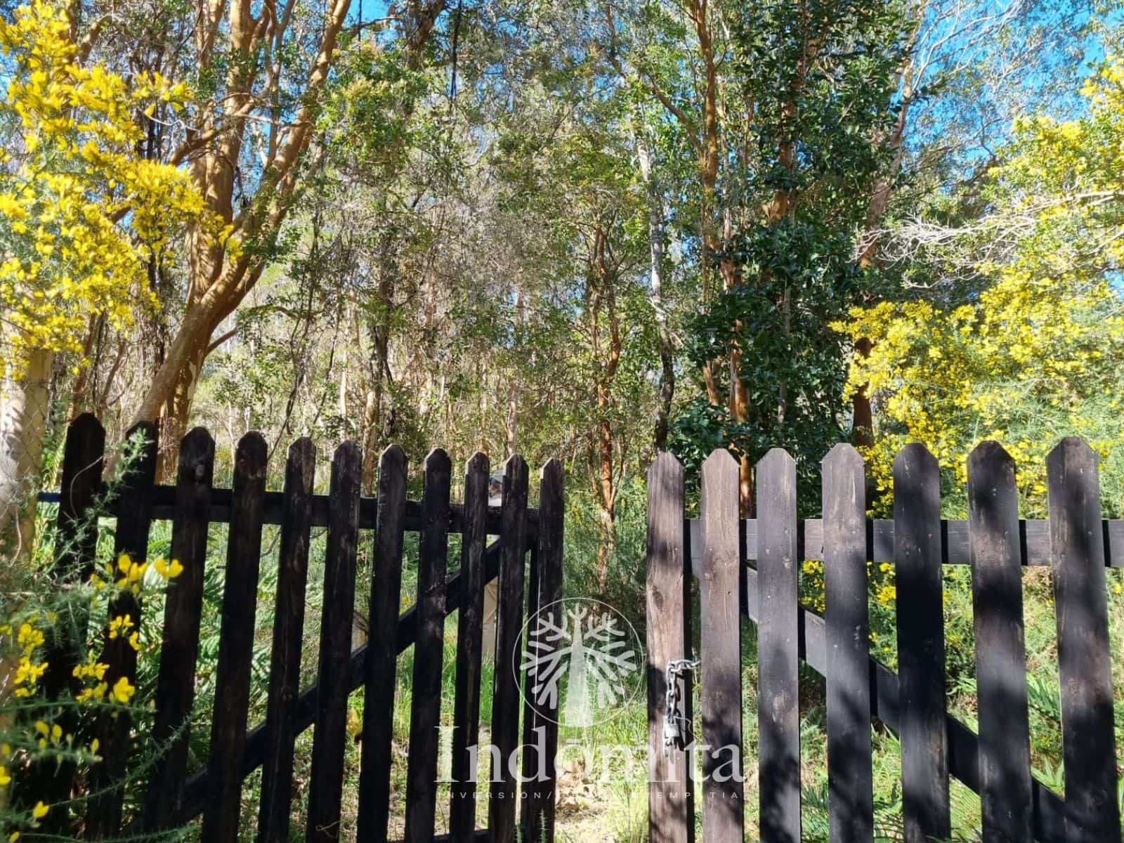 Parcela en venta en Puerto Varas — foto 8