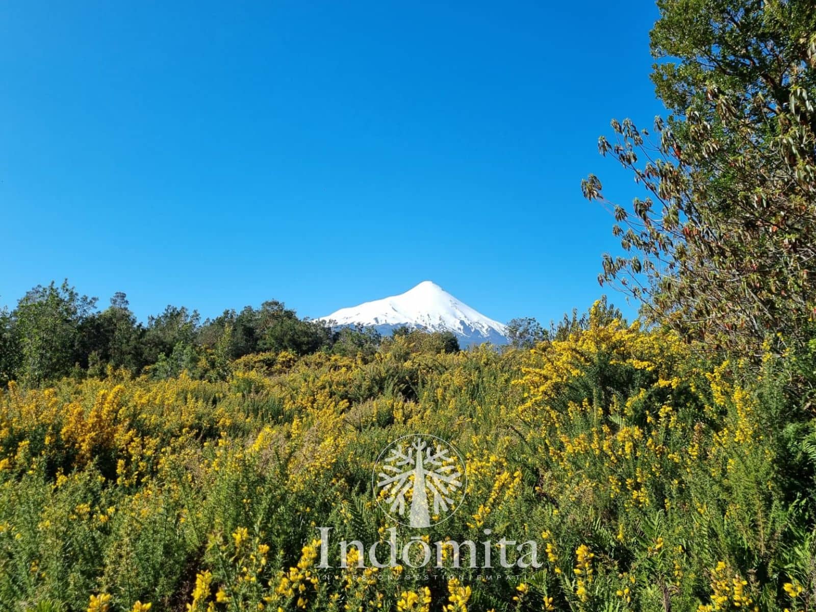 Parcela en venta en Puerto Varas — foto 9