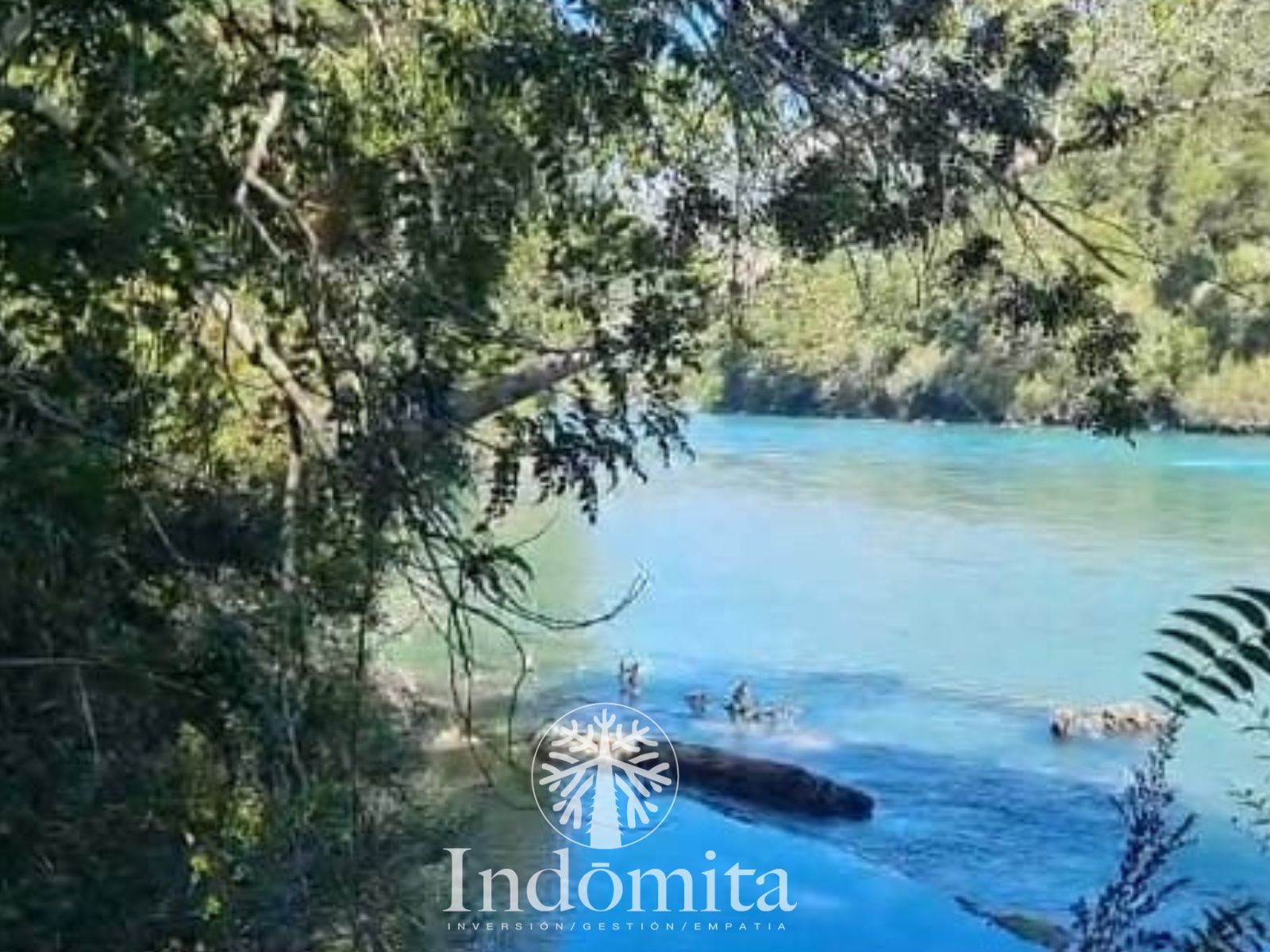 Parcela en venta en Cochamó — foto 4