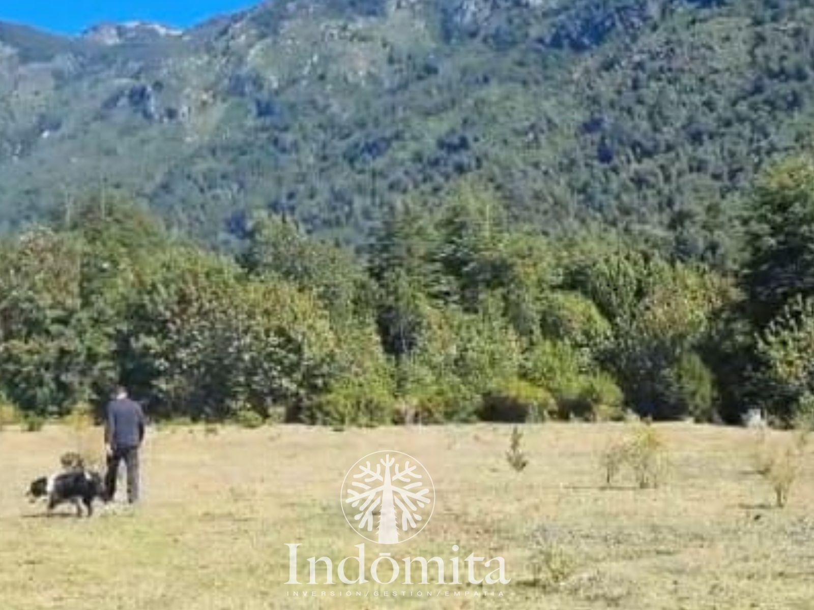 Parcela en venta en Cochamó — foto 5