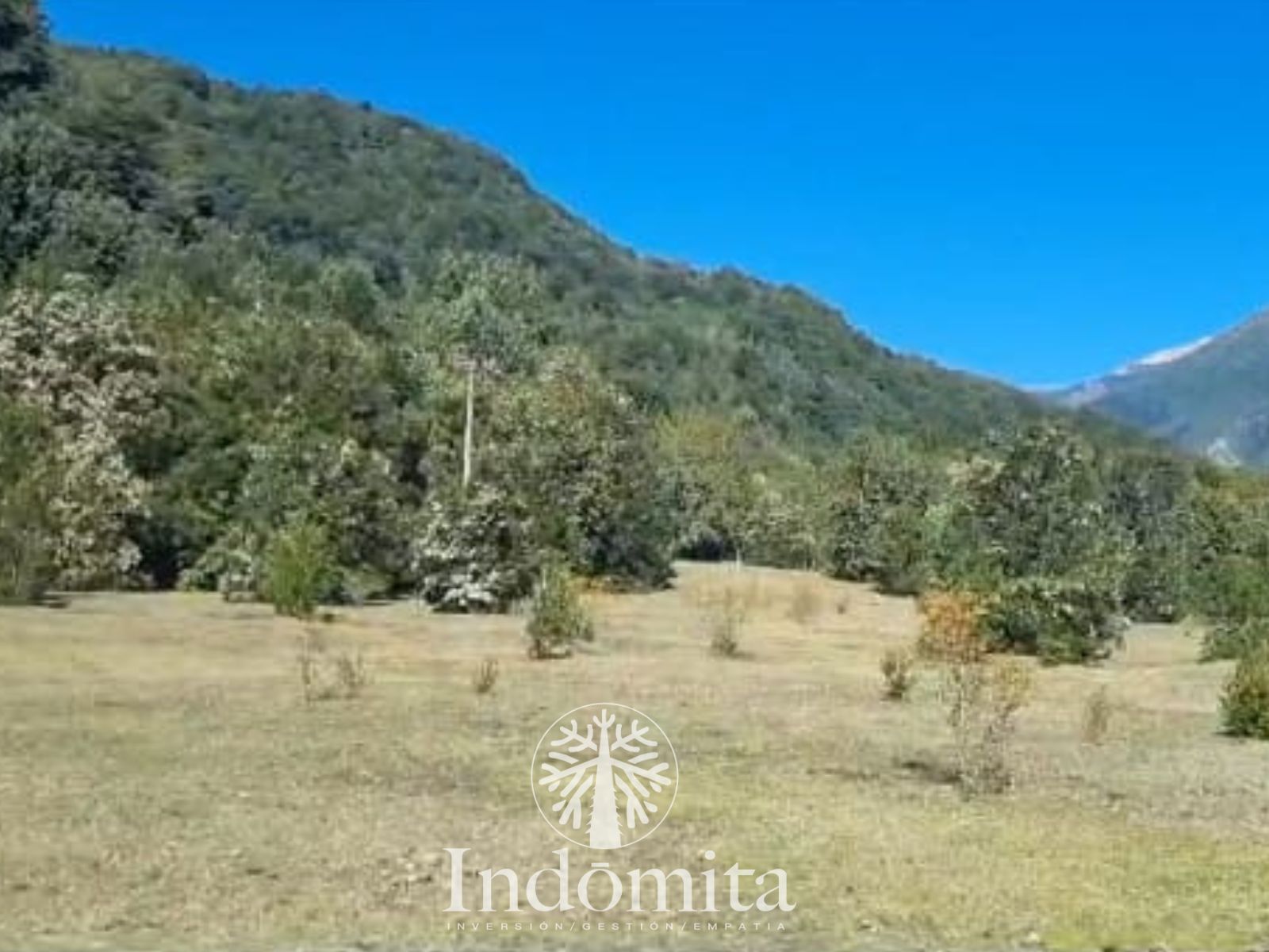 Parcela en venta en Cochamó — foto 8