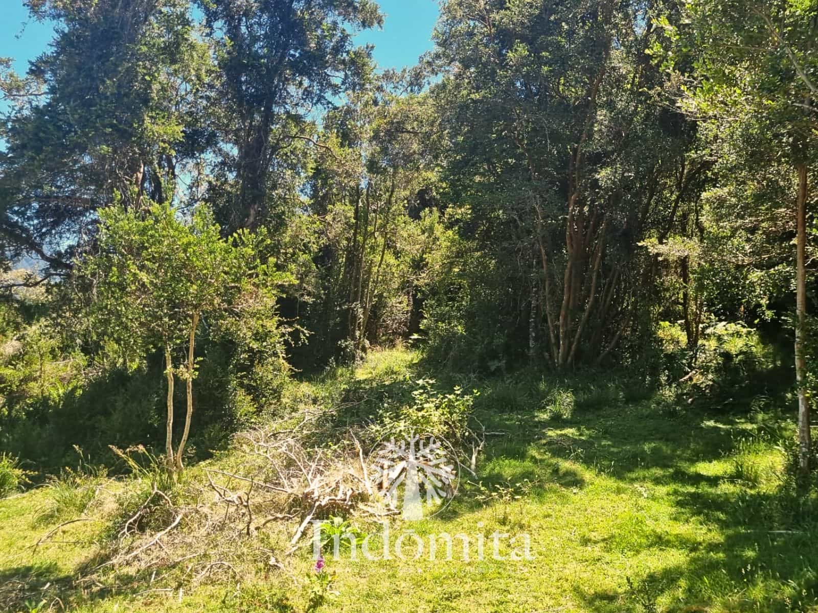 Parcela en venta en Cochamó — foto 2