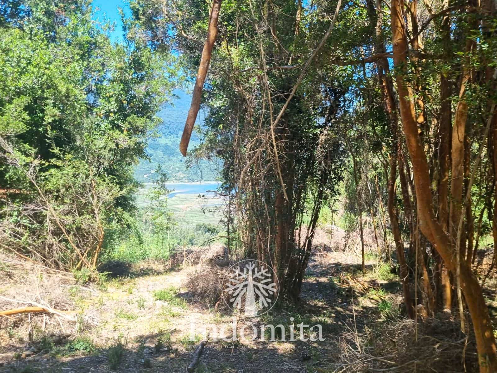 Parcela en venta en Cochamó — foto 7