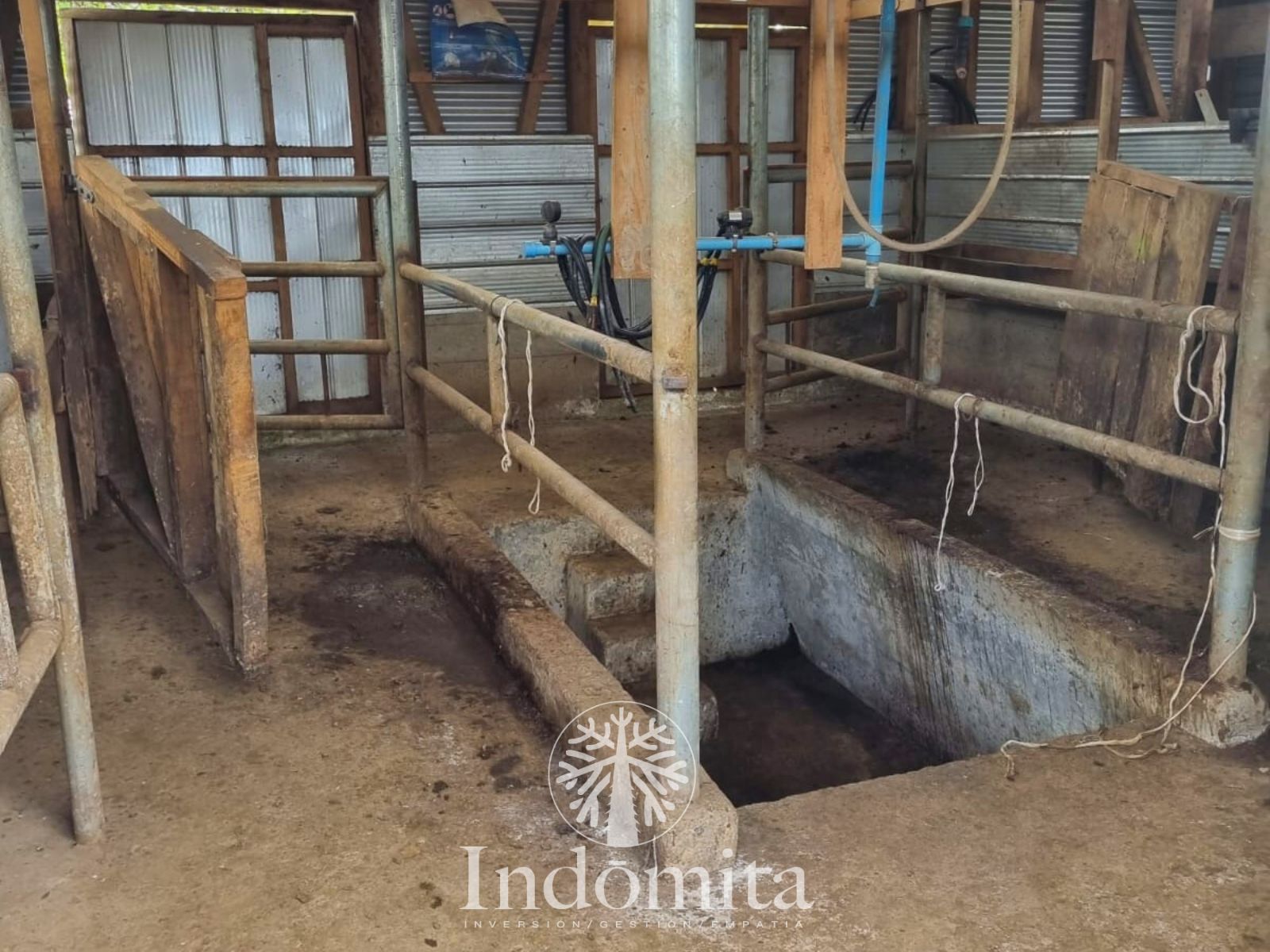 Campo en venta en Los Muermos — foto 2