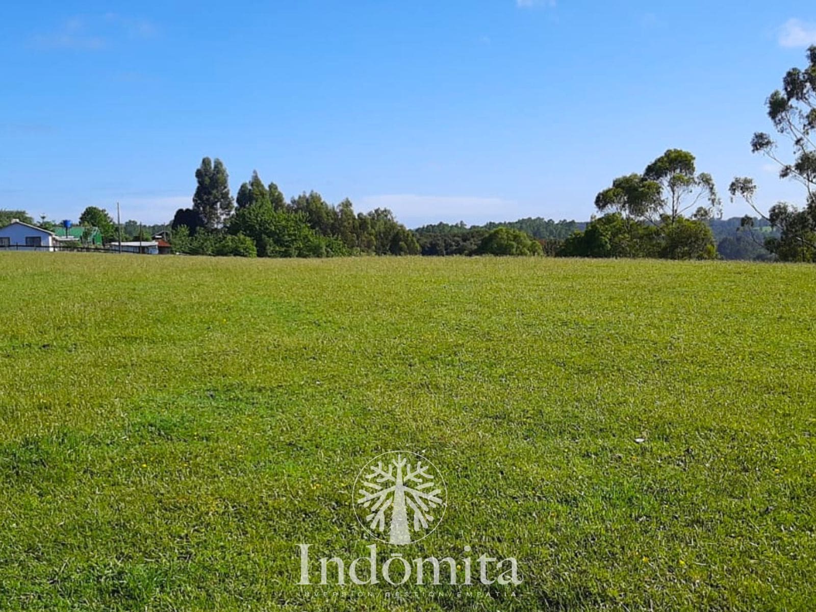 Campo en venta en Los Muermos — foto 8