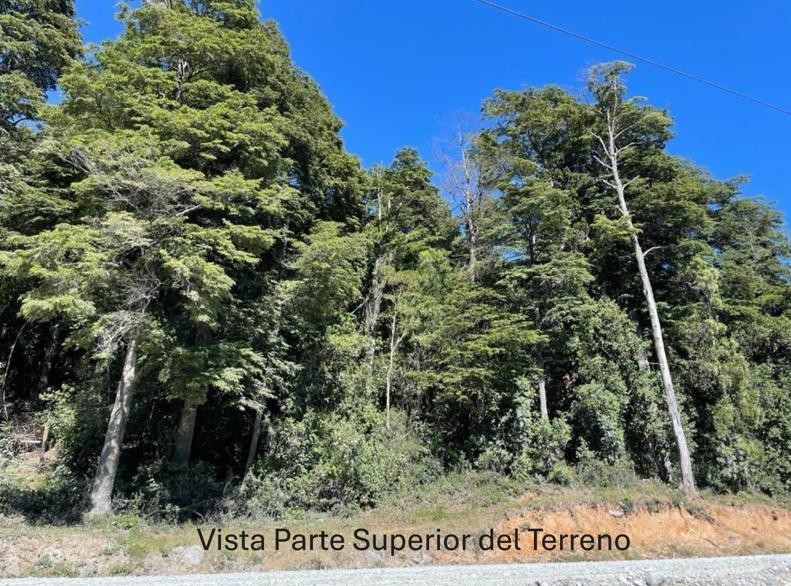 Parcela en venta en Cochamó — foto 2