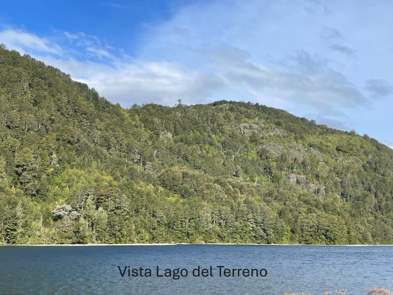 Parcela en venta en Cochamó — foto 4