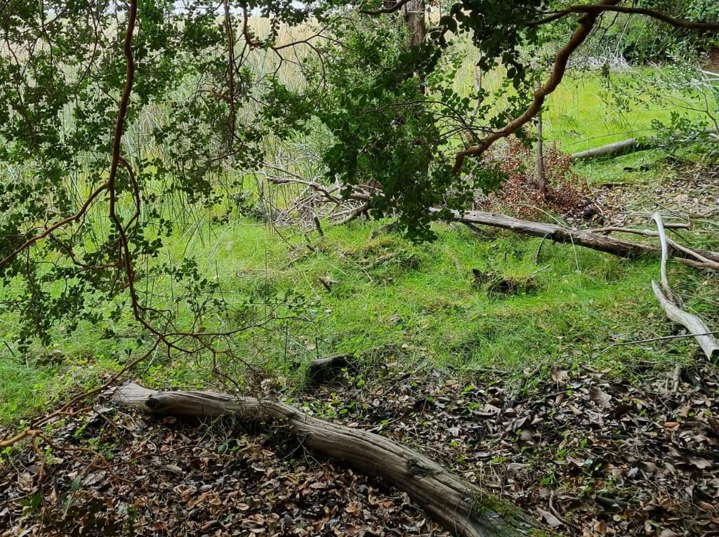 Parcela en venta en Cochamó — foto 8
