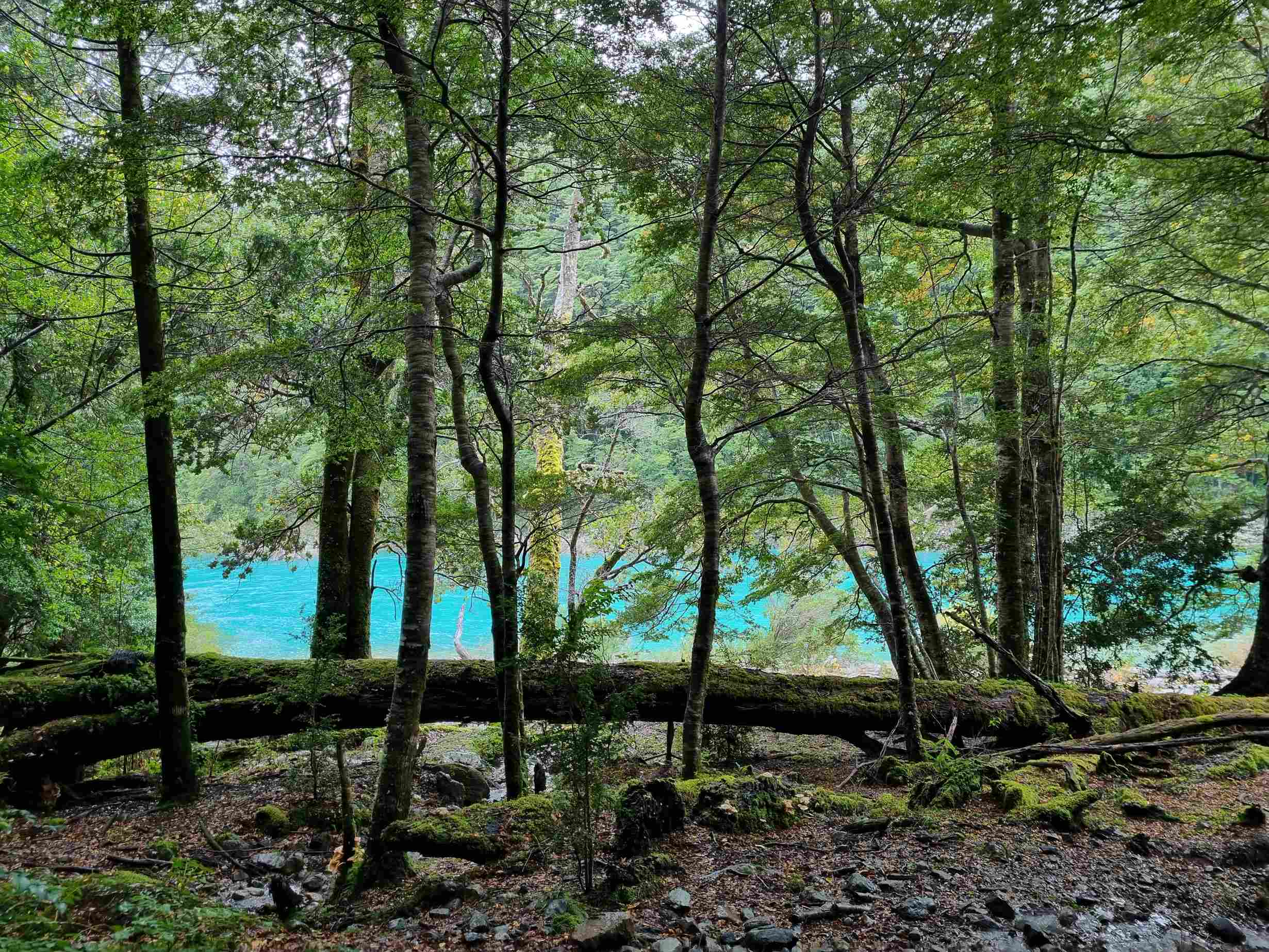 Campo en venta en Cochamó — foto 5