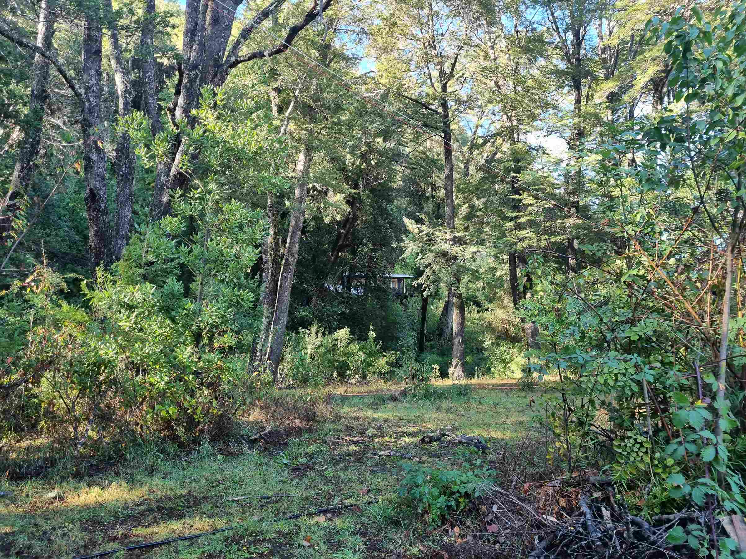 Campo en venta en Cochamó — foto 7