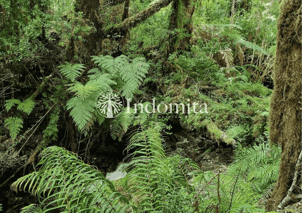 Campo en venta en Cochamó — foto 8