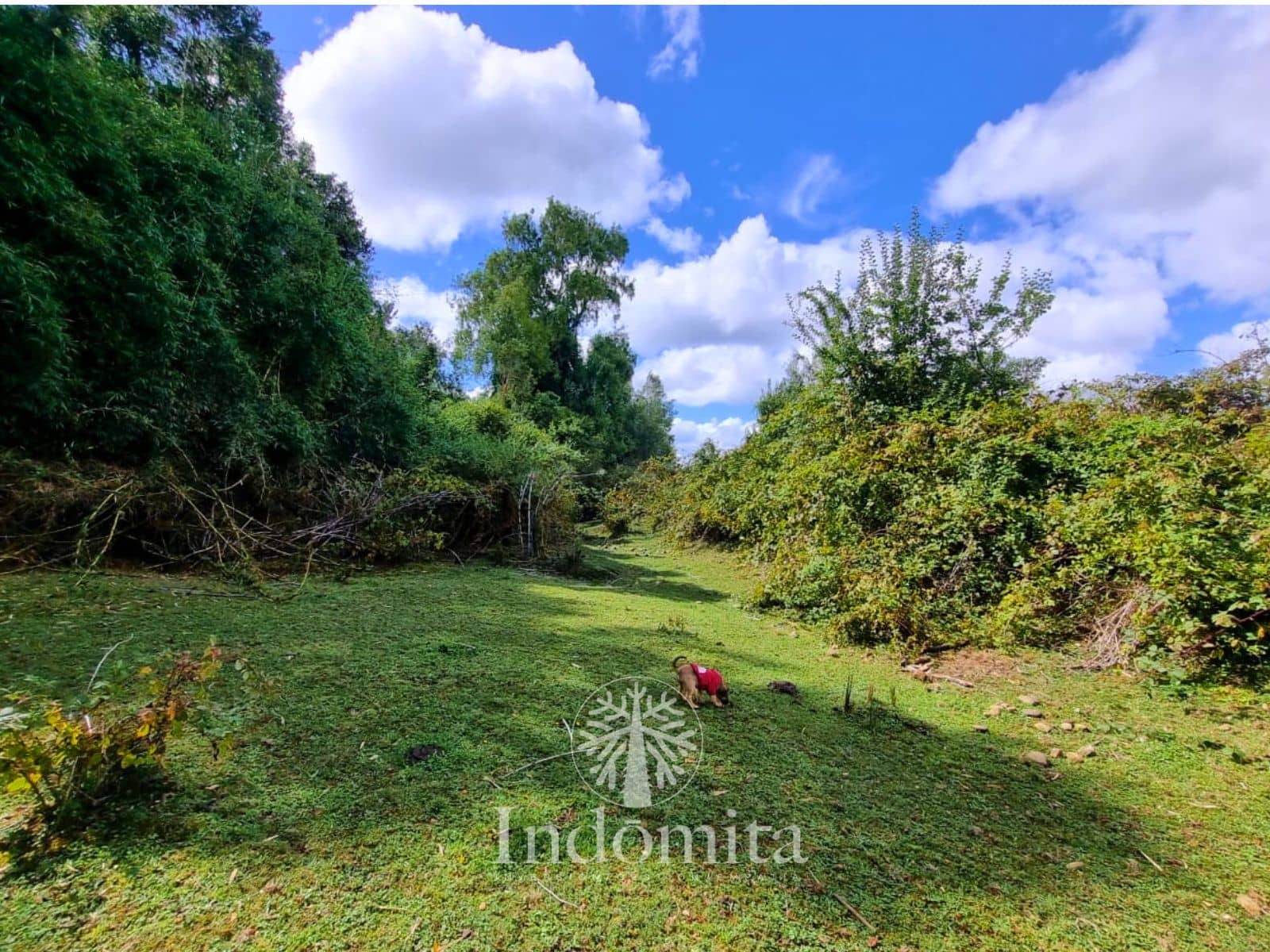 Parcela en venta en Fresia — foto 1