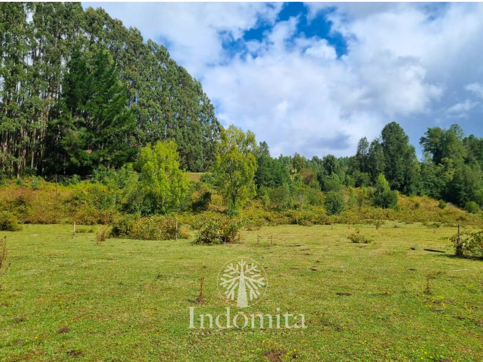 Parcela en venta en Fresia — foto 3