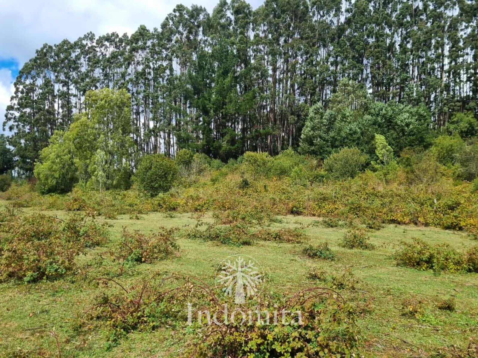 Parcela en venta en Fresia — foto 5