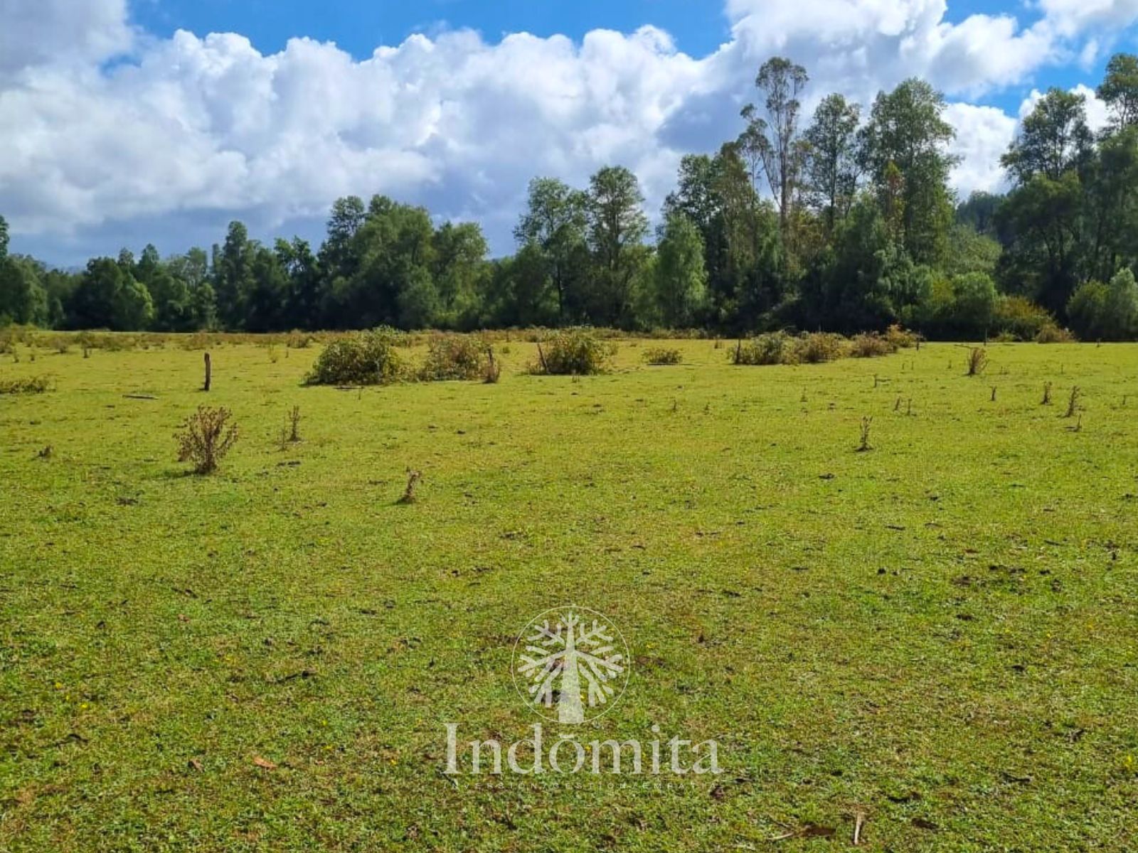 Parcela en venta en Fresia — foto 7
