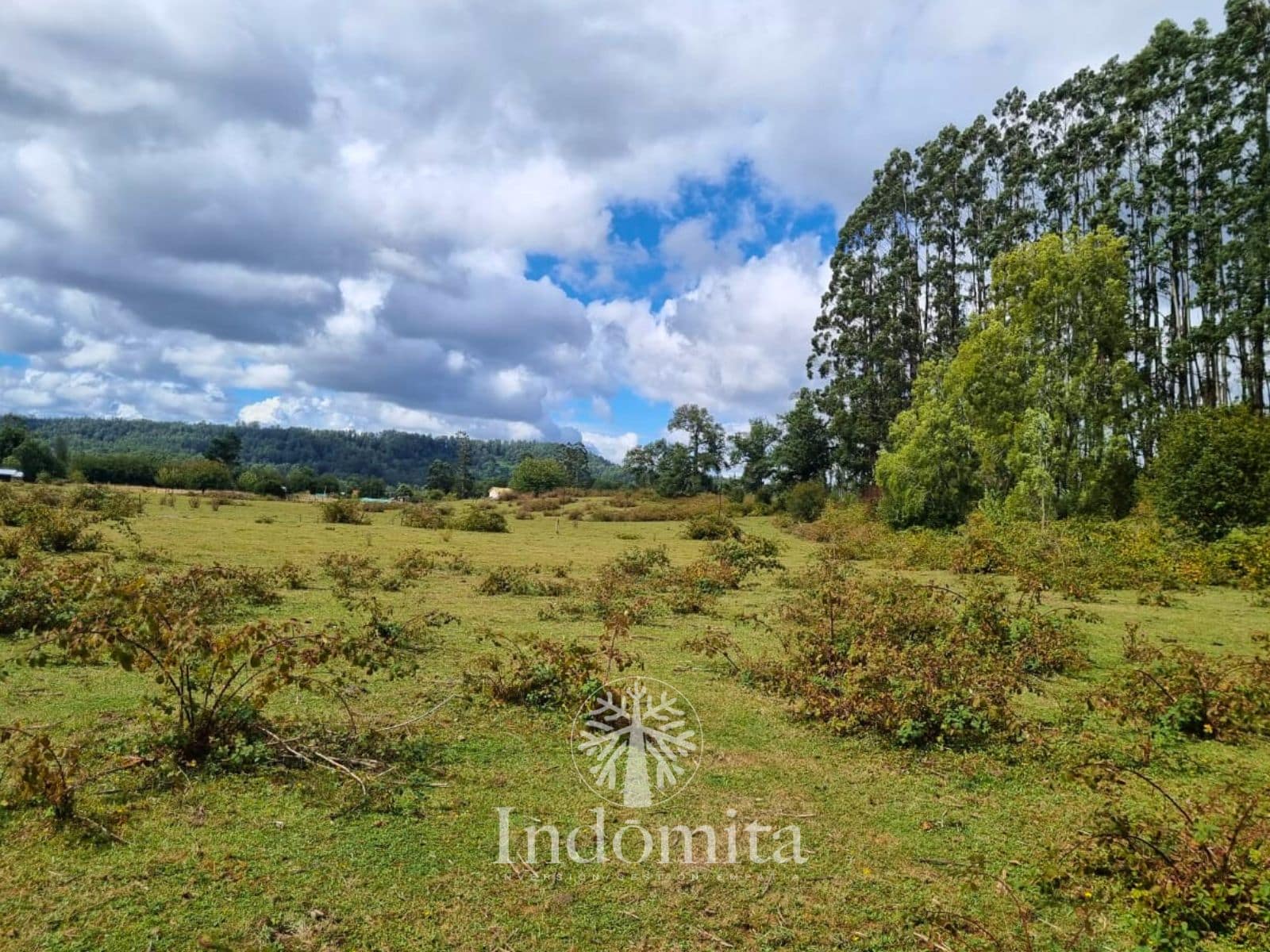 Parcela en venta en Fresia — foto 8