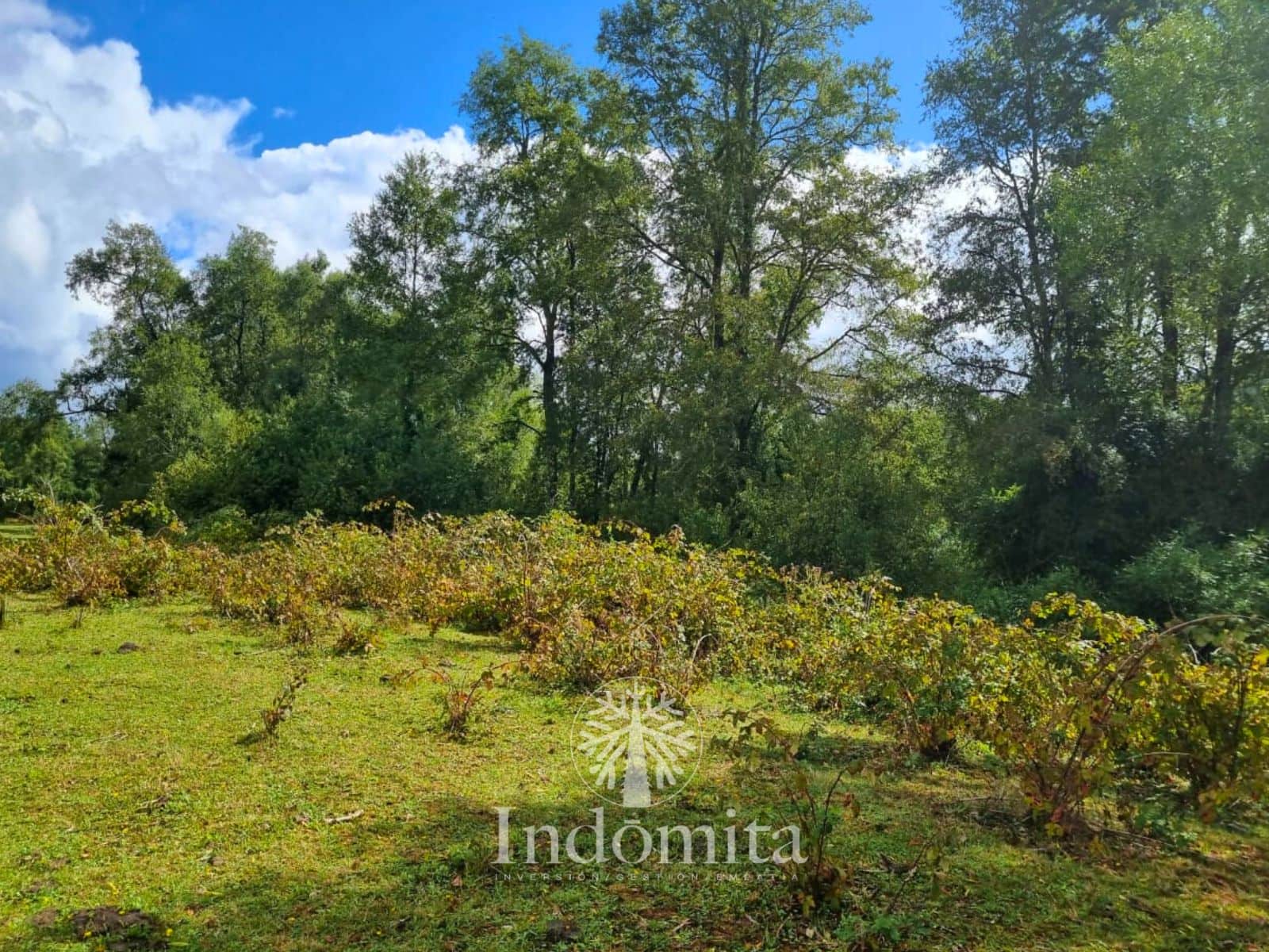 Parcela en venta en Fresia — foto 9
