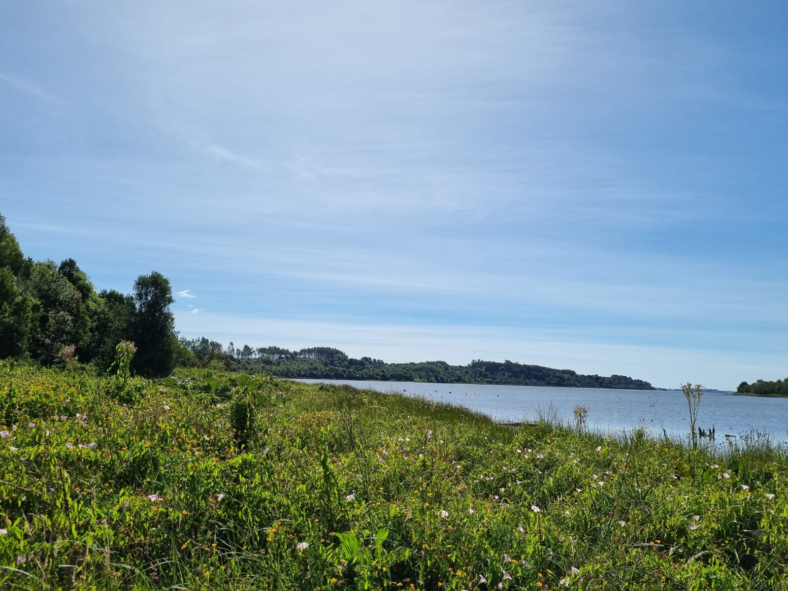 Campo en venta en Ancud — foto 2