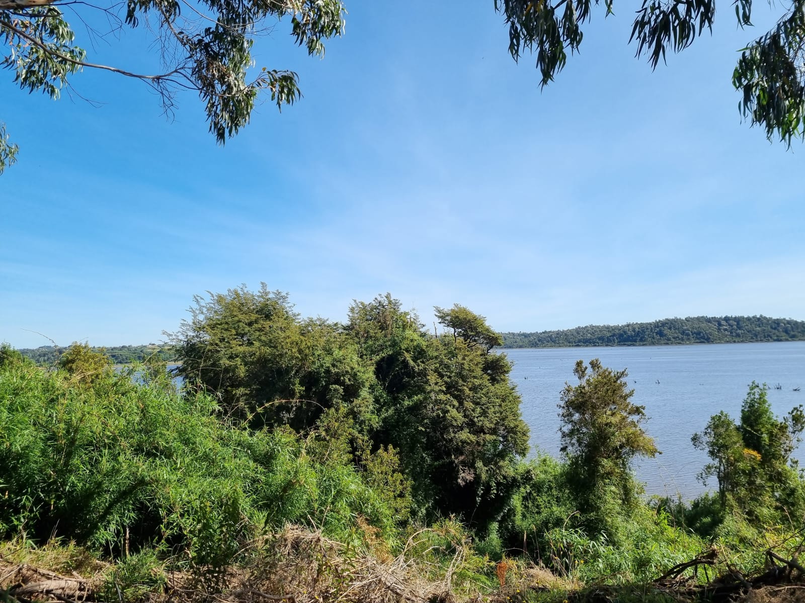 Campo en venta en Ancud — foto 4